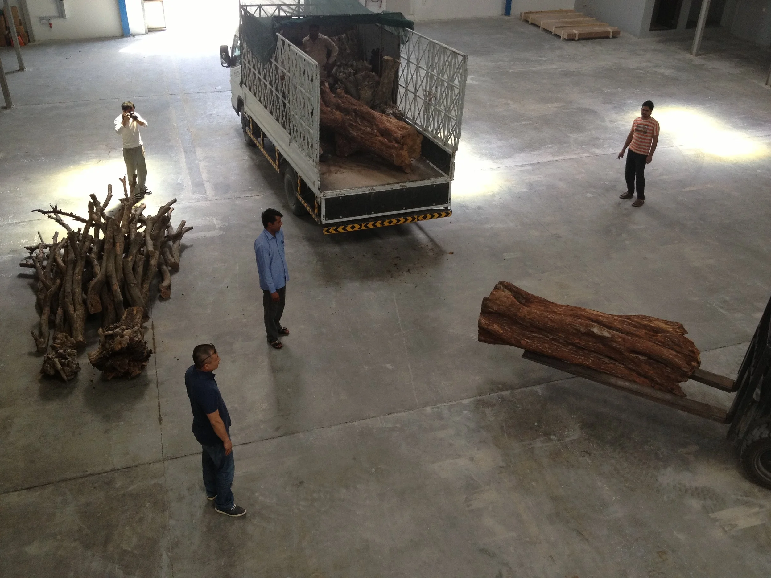Tree trunks and branches arrive at the studio