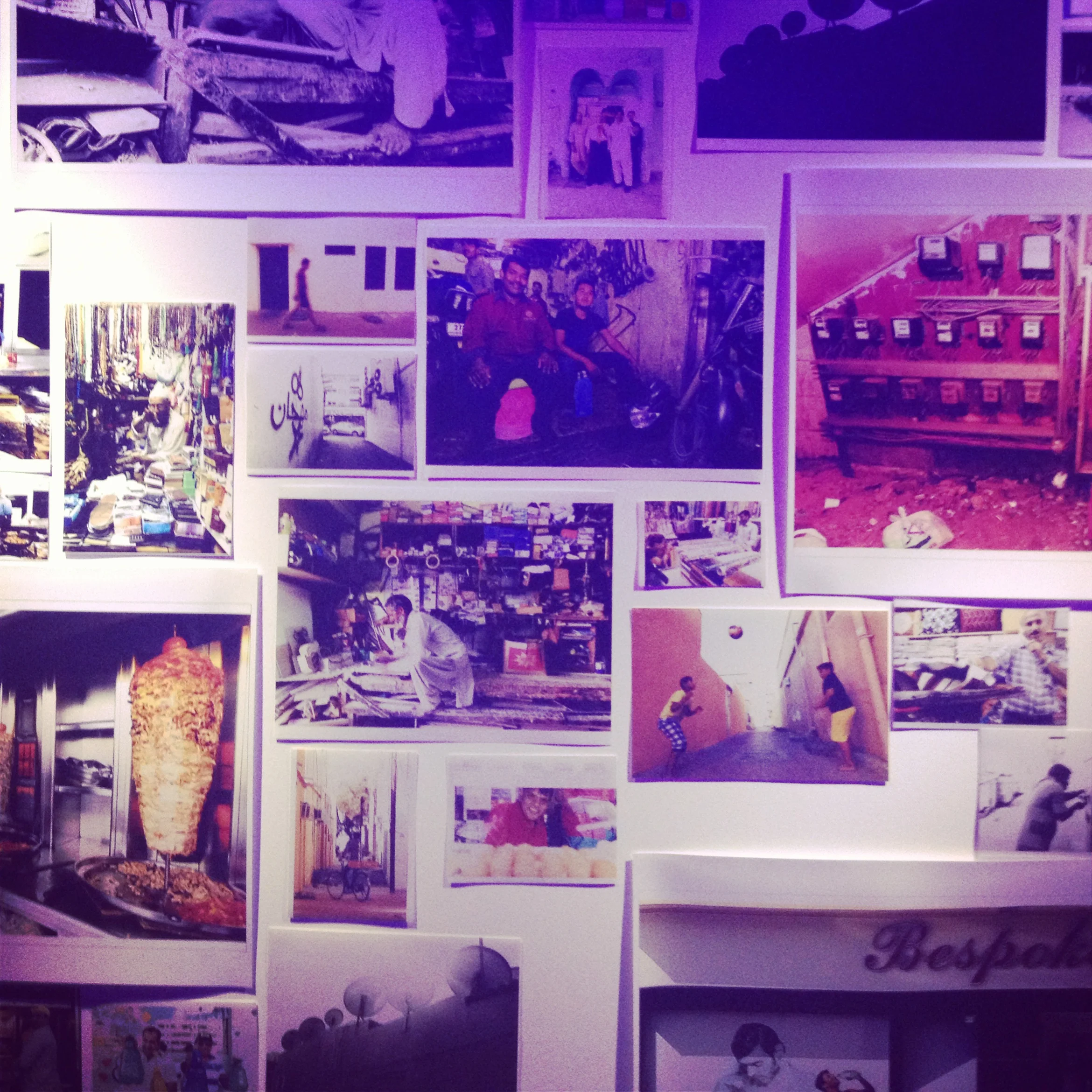 Photography of Satwa