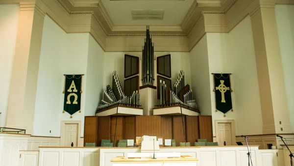 OrganWO.jpg