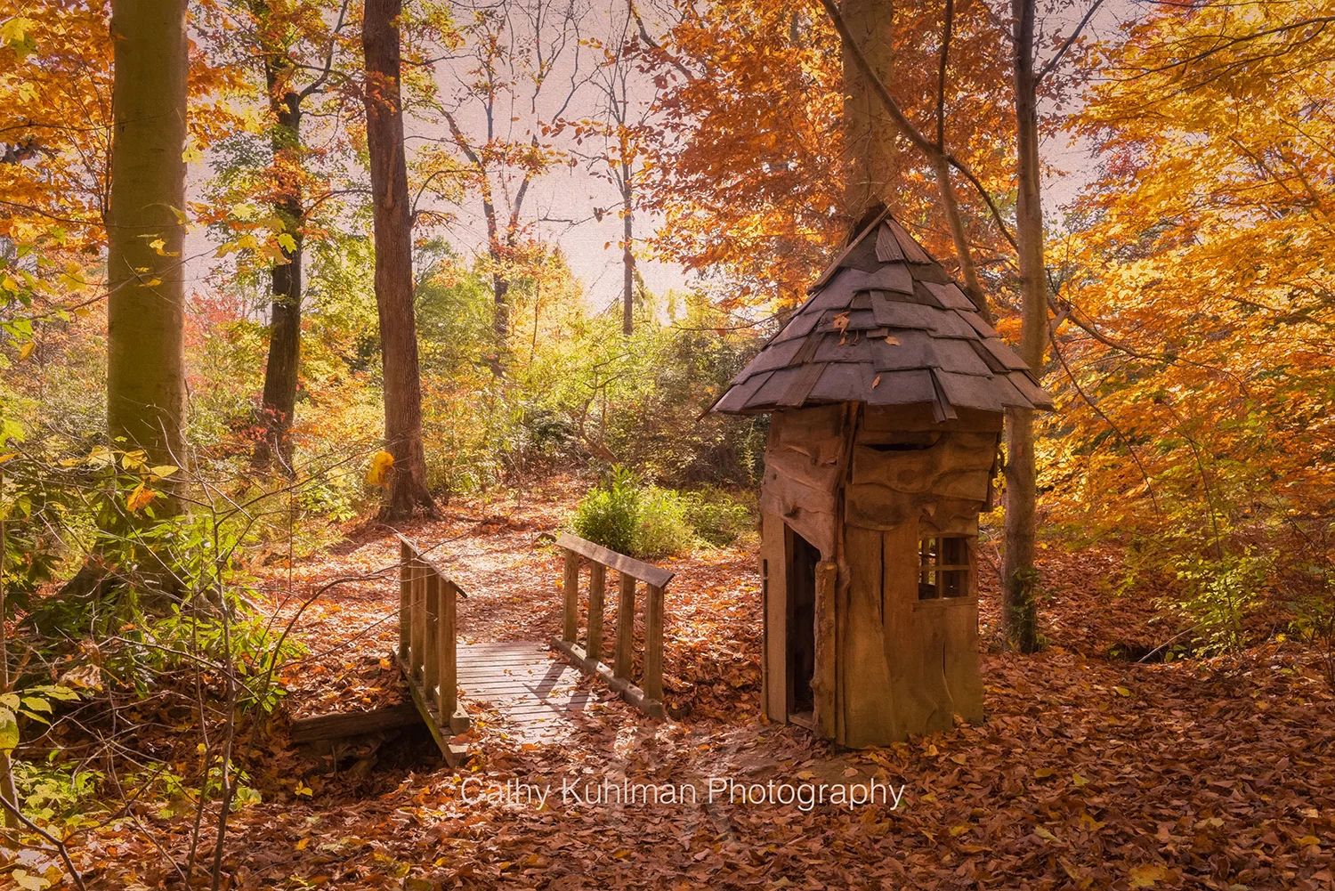 Leaving the Woods
