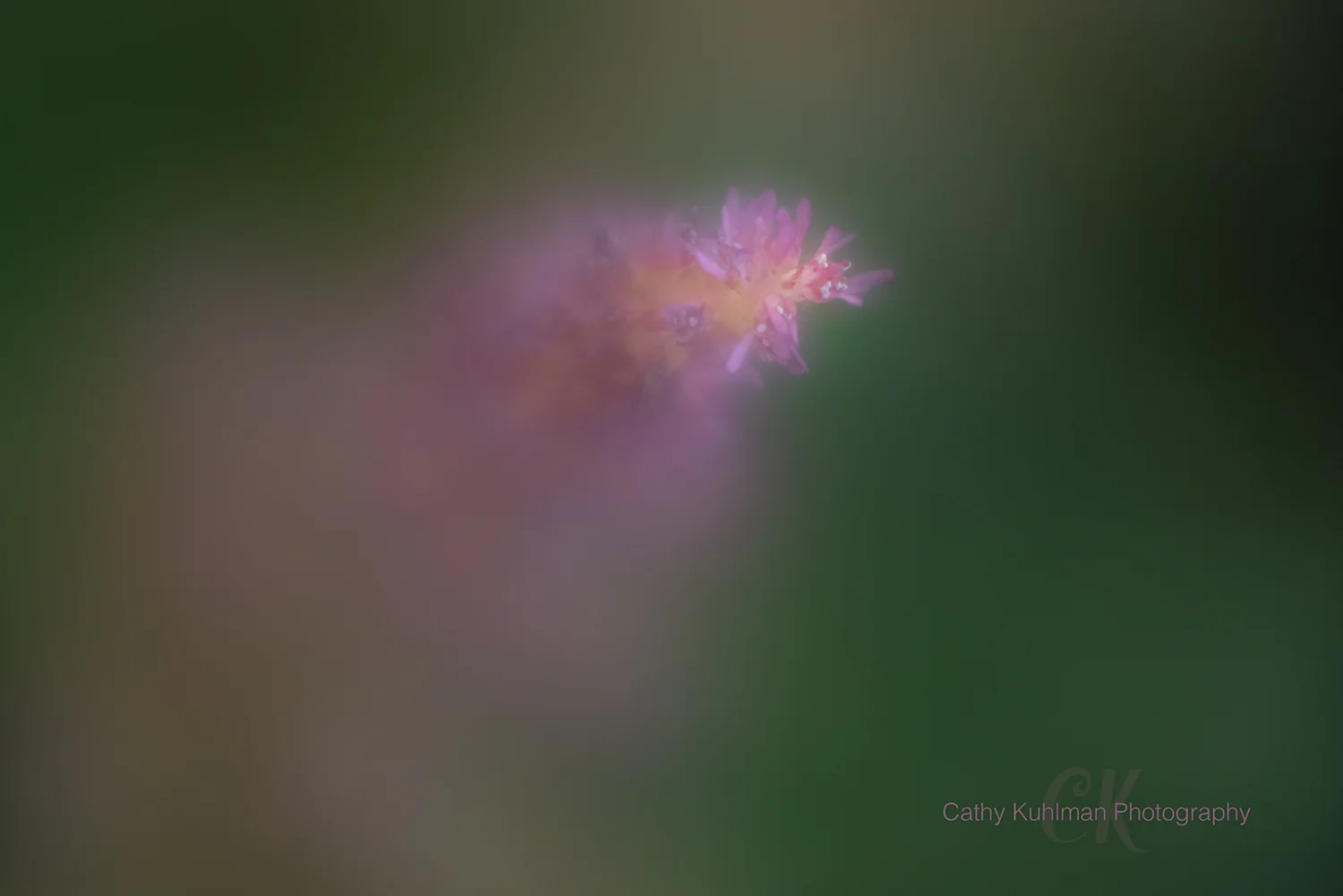 Sparkly pink crystal flower