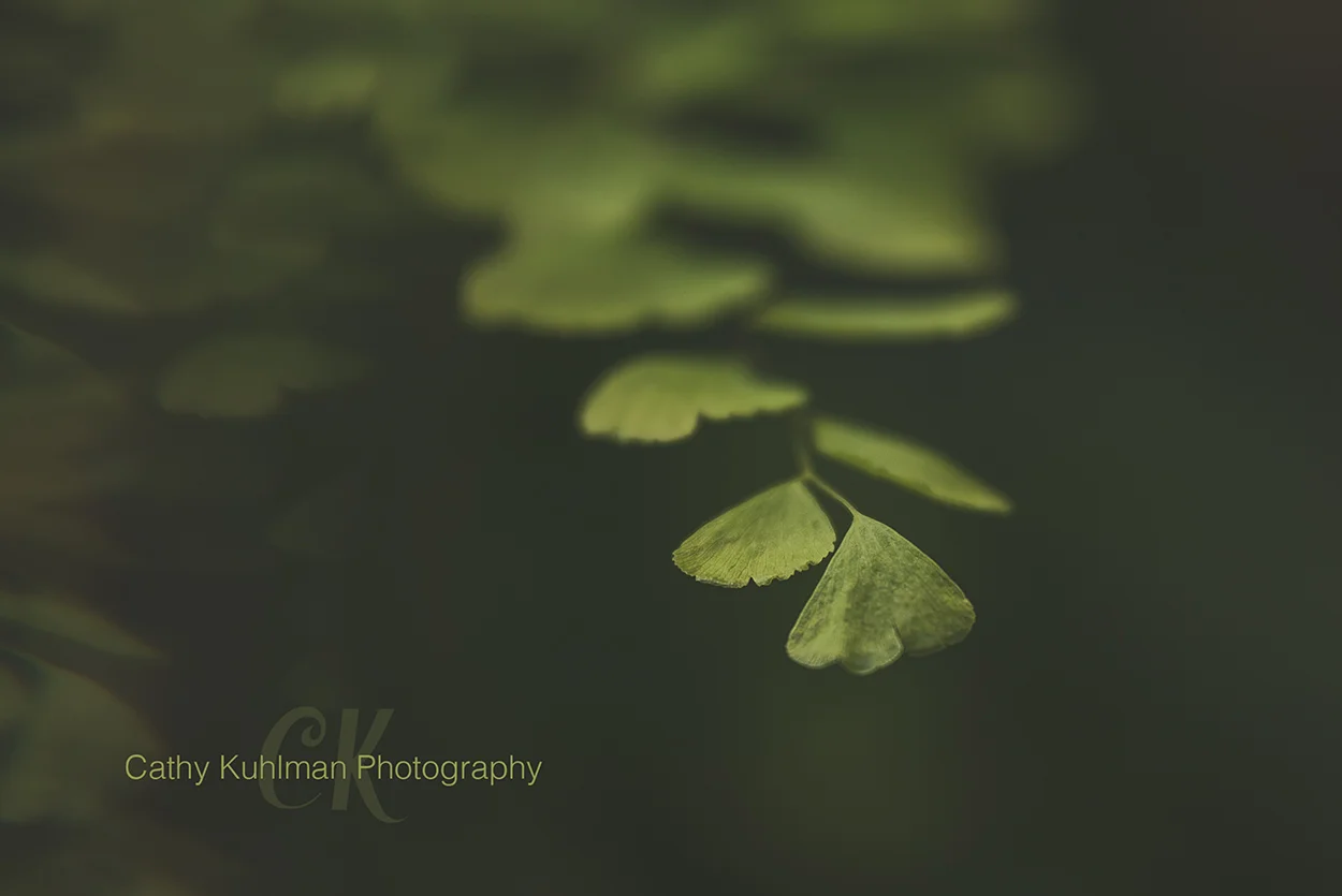 Circling around