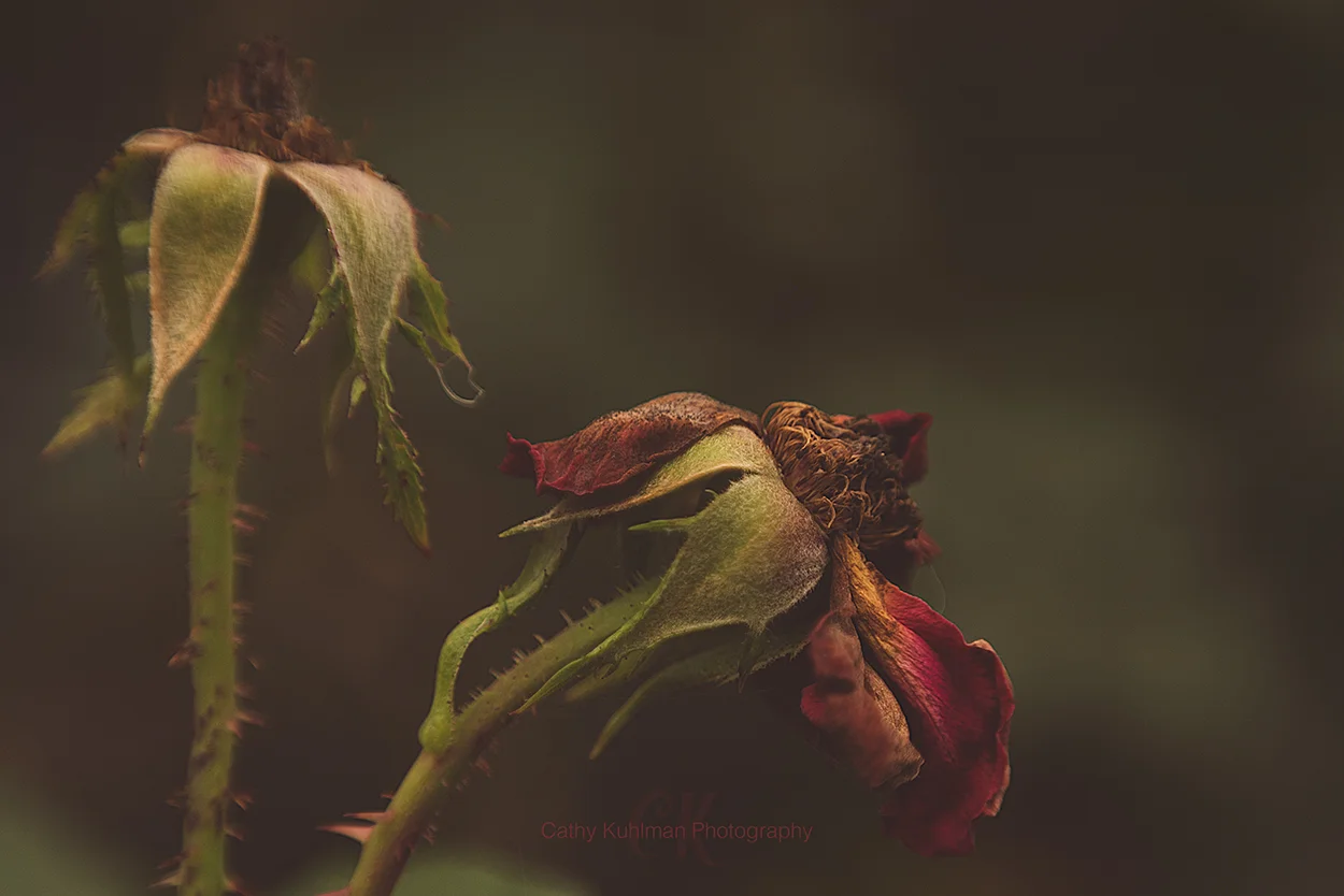 Fading Out