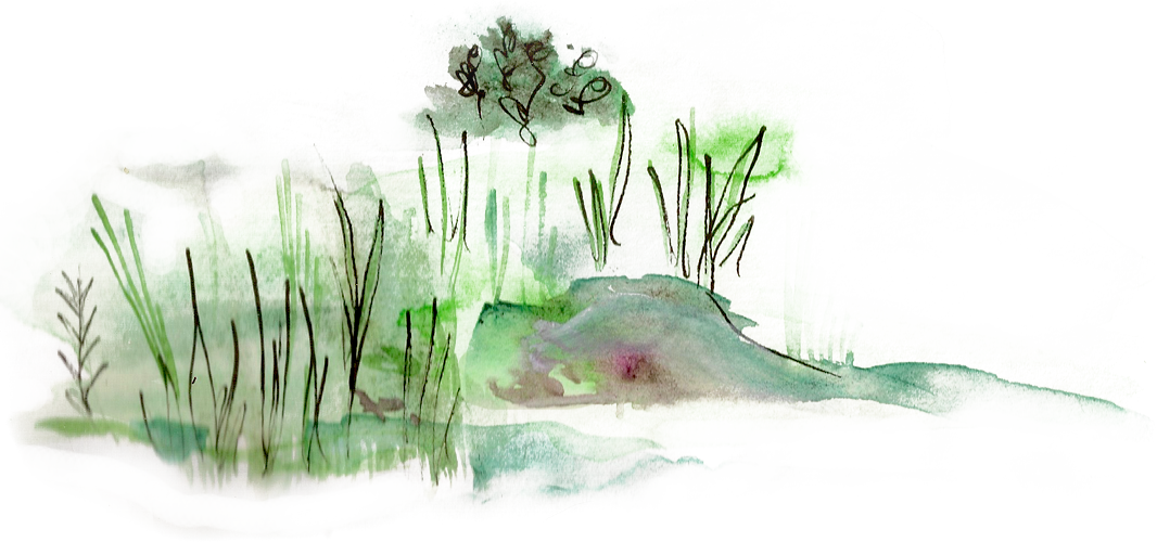 shore.png
