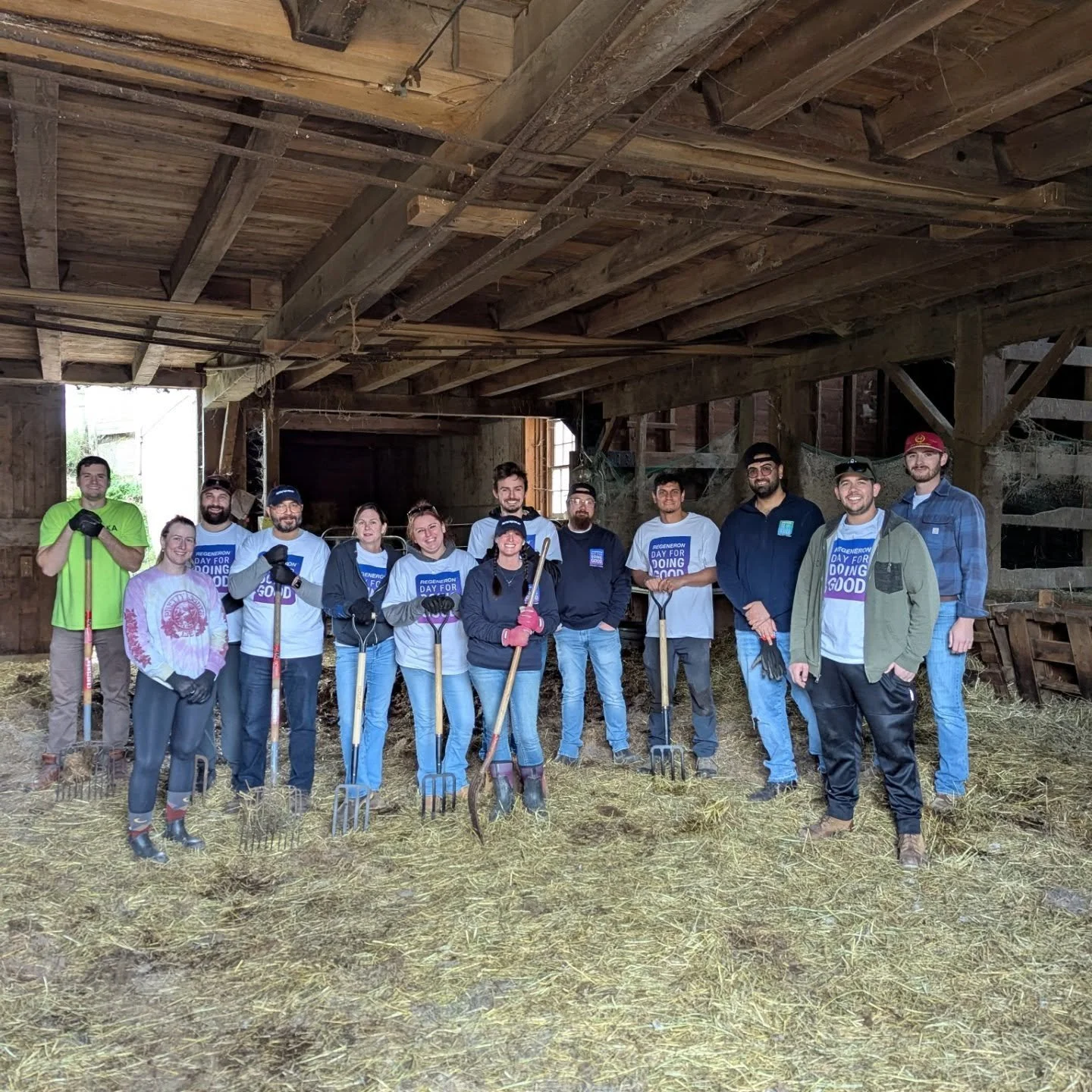 Huge thank you to @regeneron for helping us prepare our space for the winter! Together we cleaned the barn, planted garlic, transplanted plants, built a gate and so much more. Thank you for your incredible energy 💕 
#d4dg