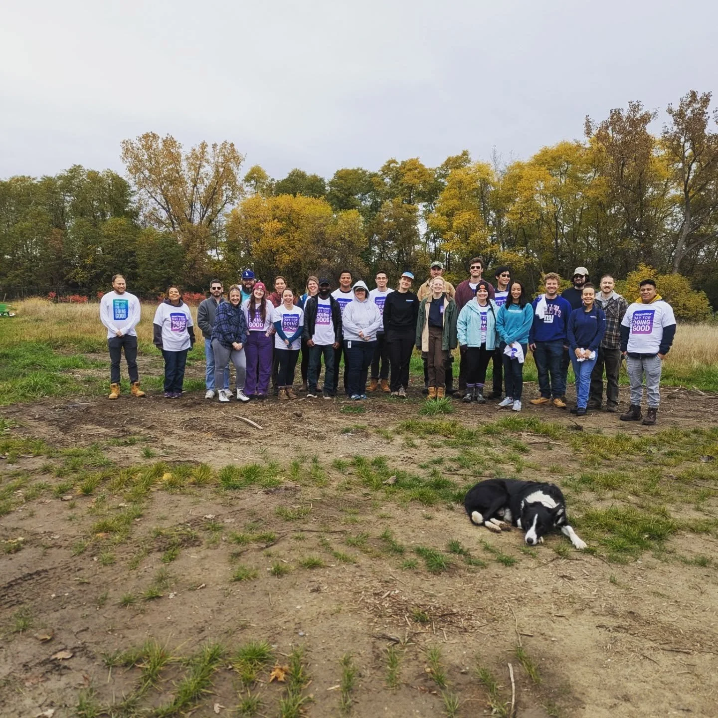 Day 2 with the incredible @regeneron team! 
Together we cleaned the trails, helped stomp some phragmites, painted signs for the fence (which we will install next spring!), fixed the bench at the welcome kiosk, prepared the garden for winter, and bui