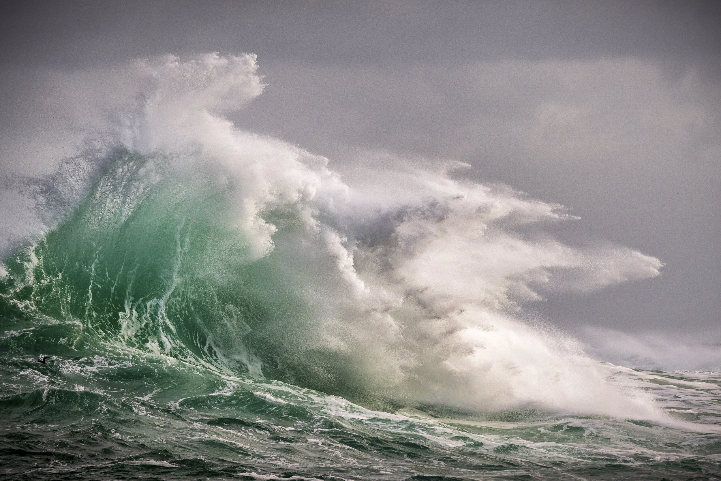 The Old Man and The Sea