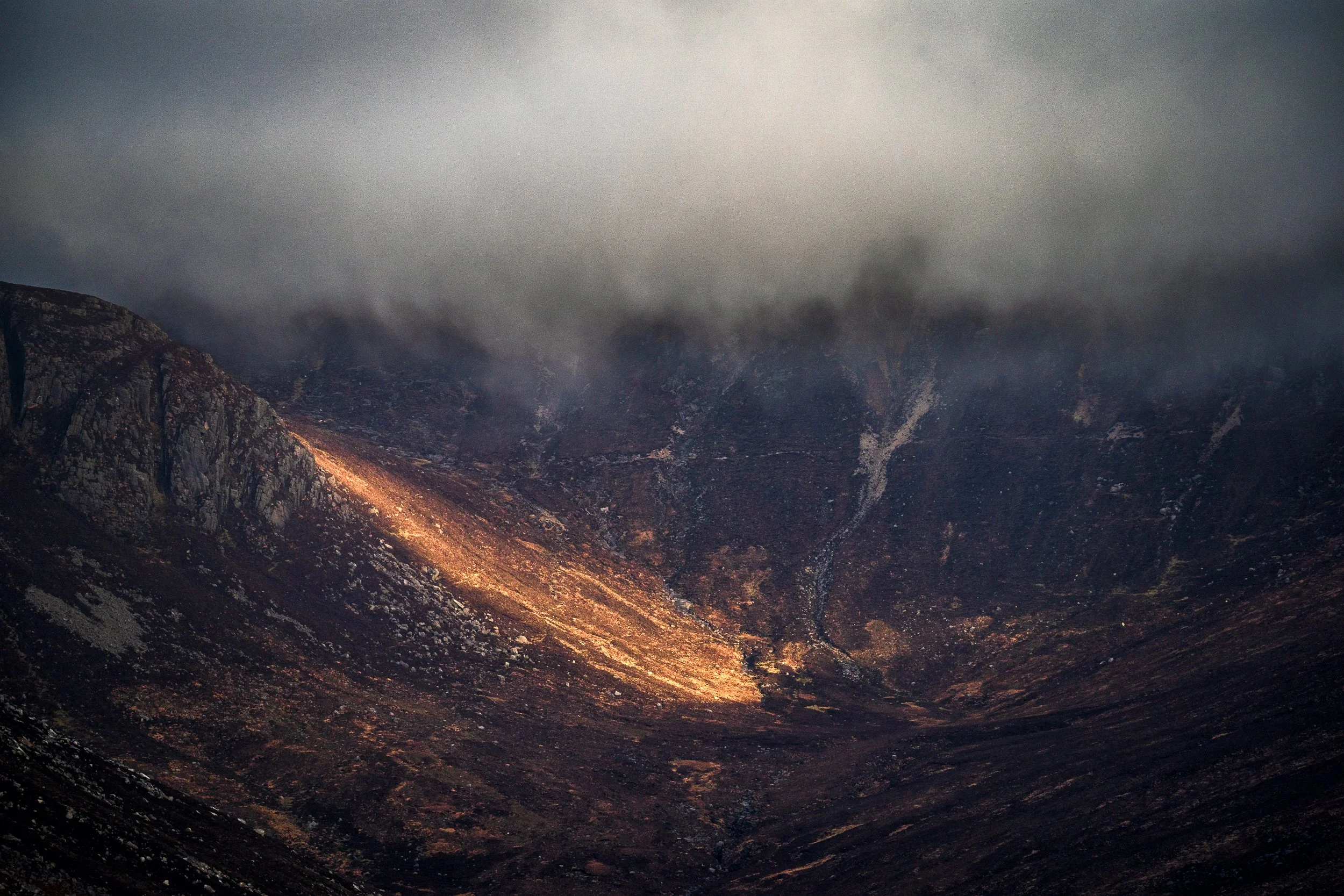 2022  The Year in the Landscape