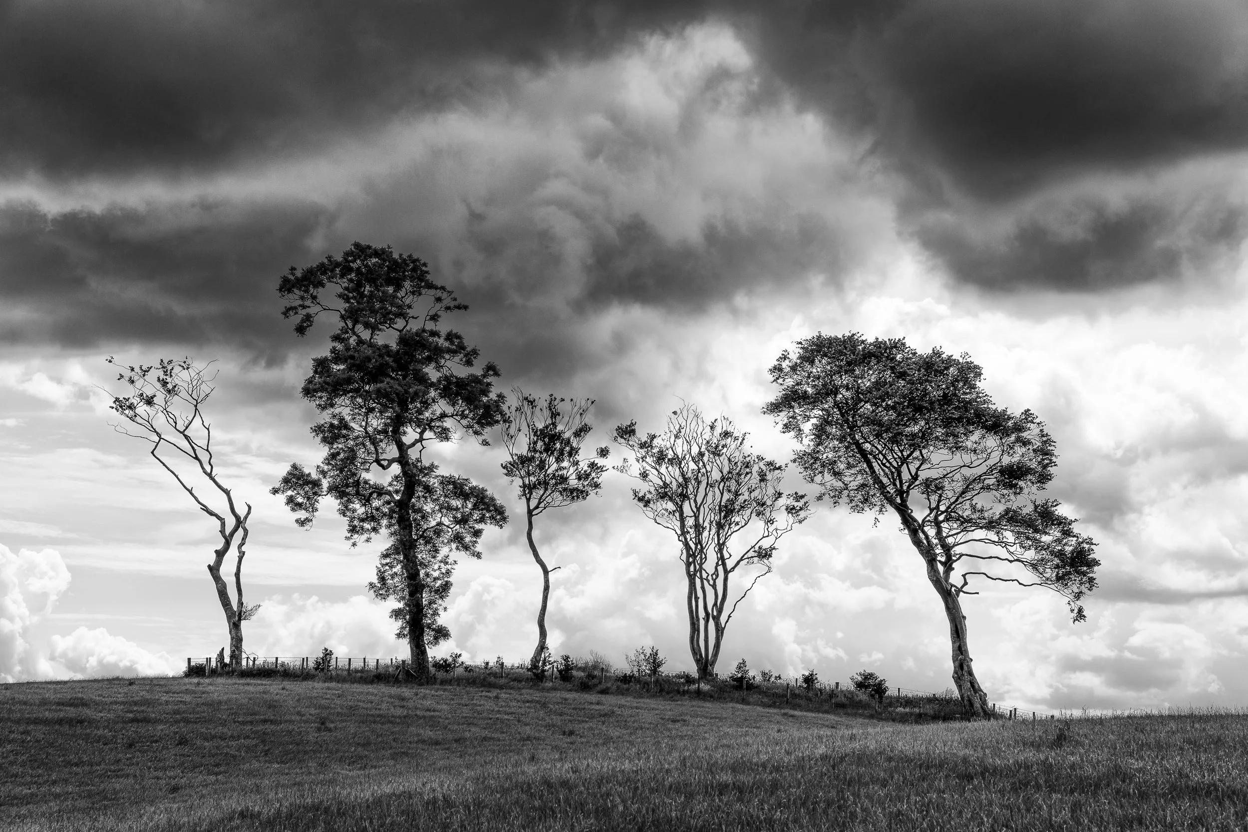 Farewell to Gallows Hill