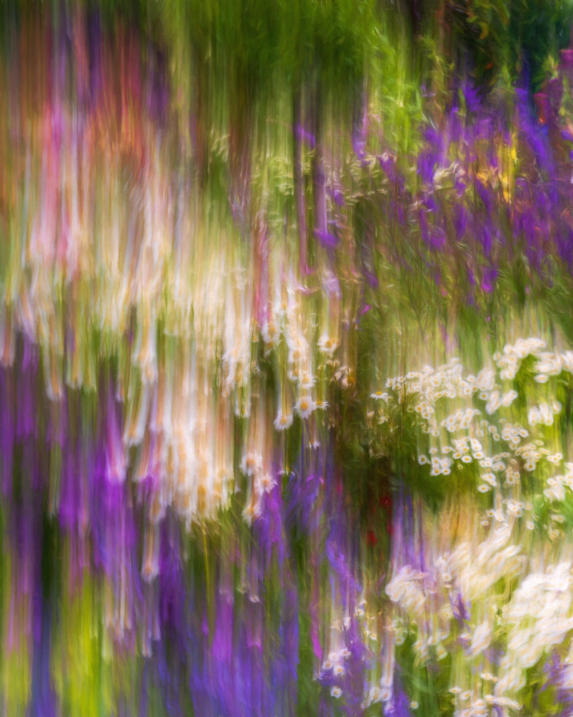 Fun in the garden with some intentional camera movement.