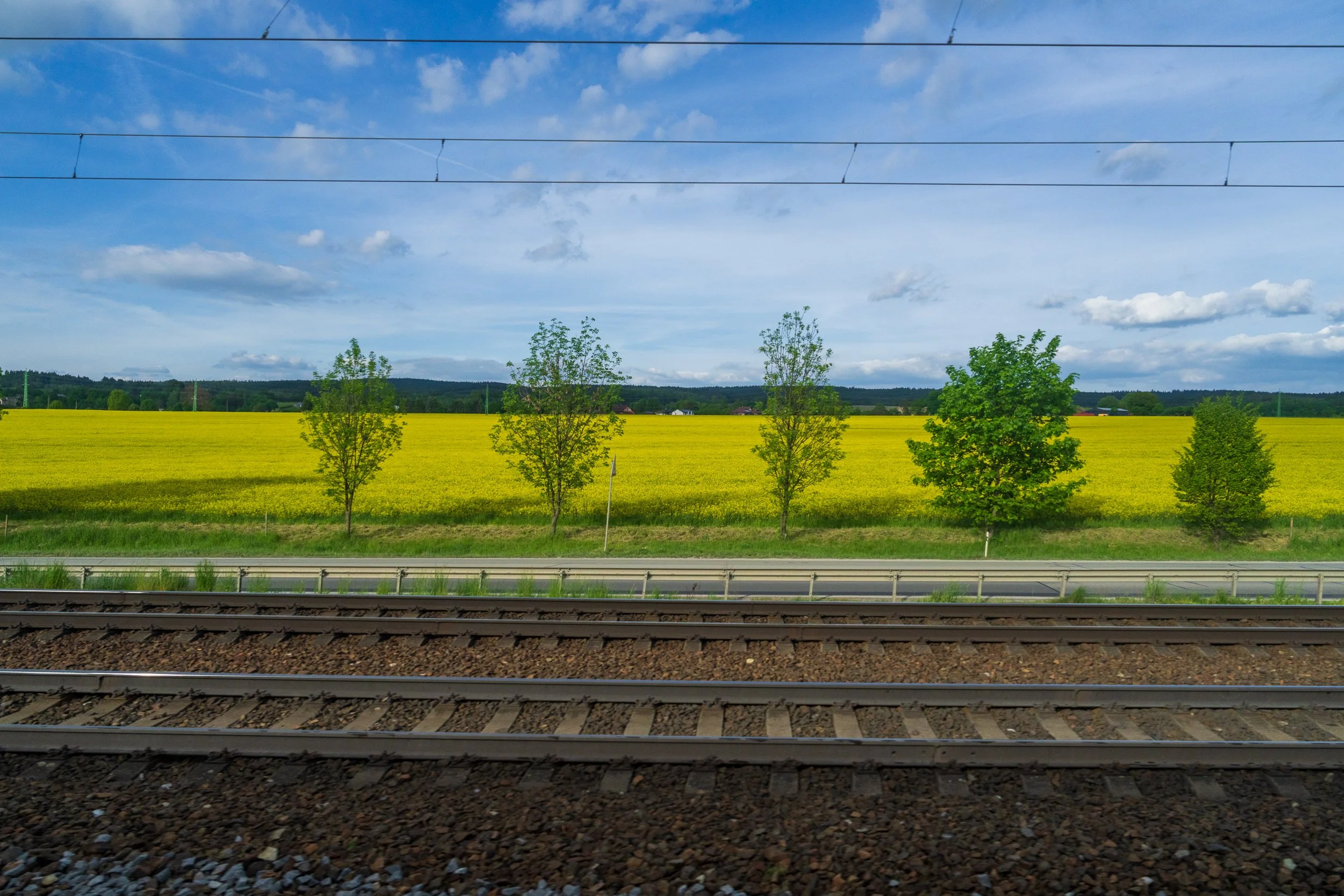 Train to Vienna
