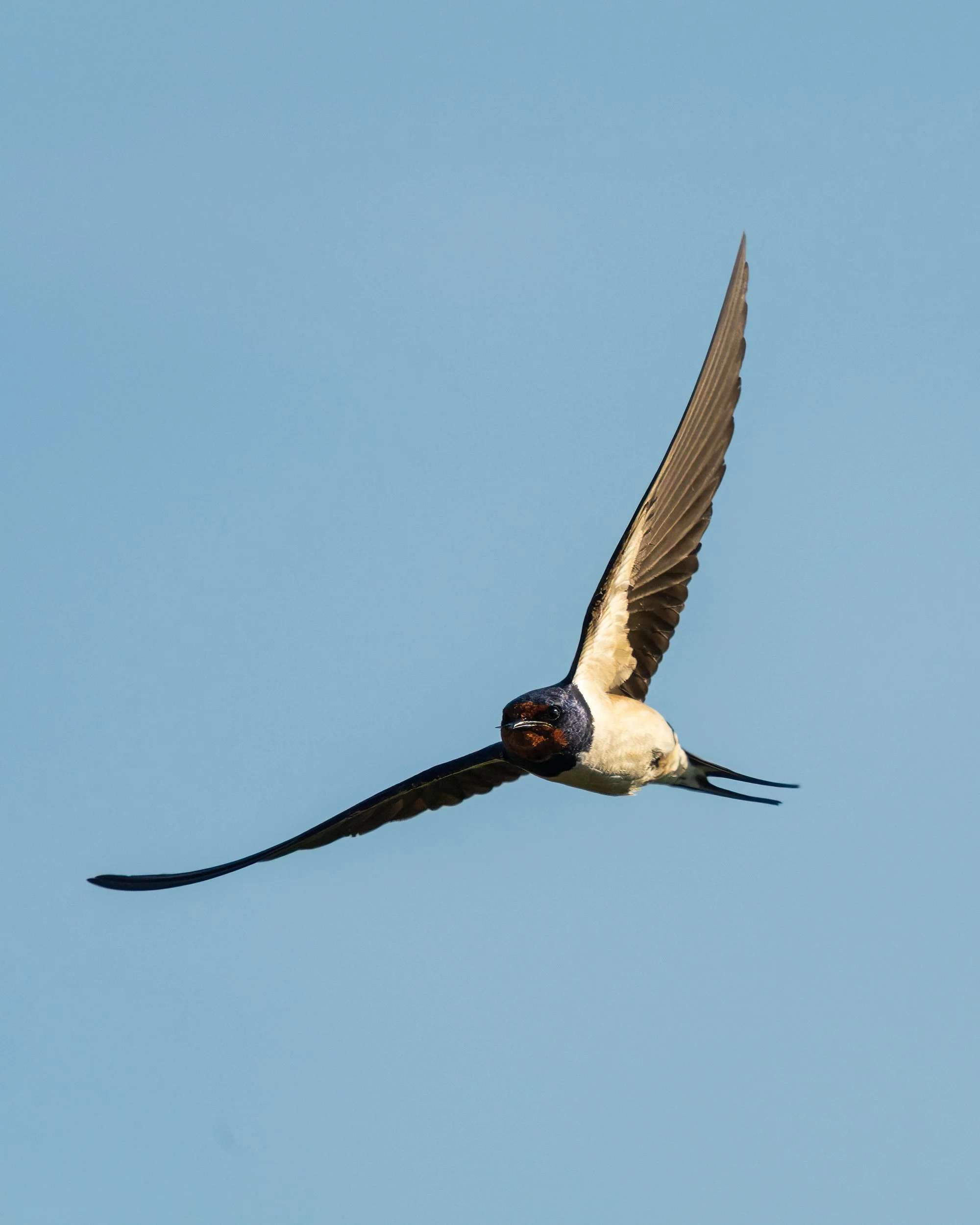 20260716-DSC07525-Edit.jpg