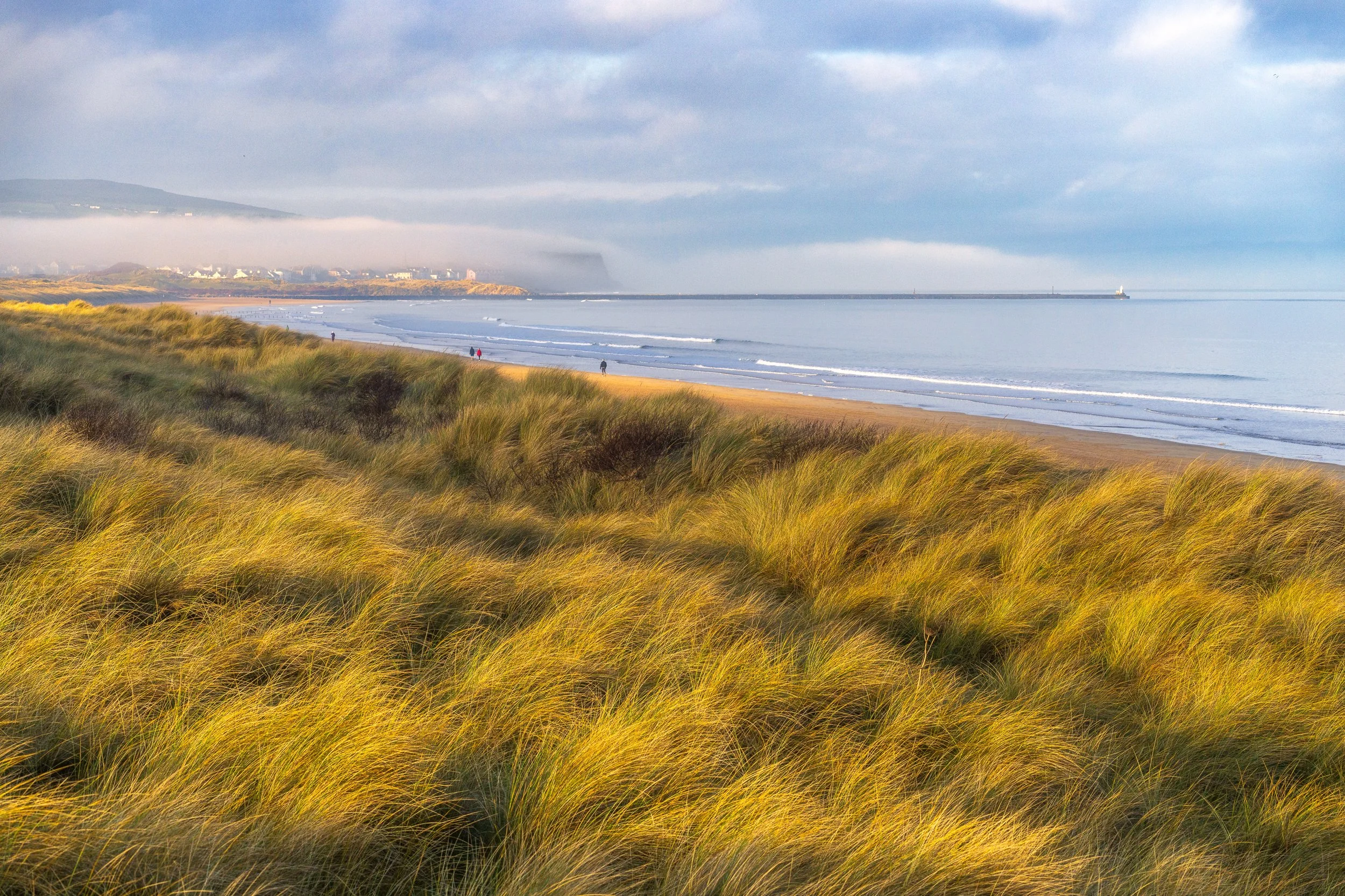 The rising sun lights up the marram grass on the sand dunes at Portstewart Strand
