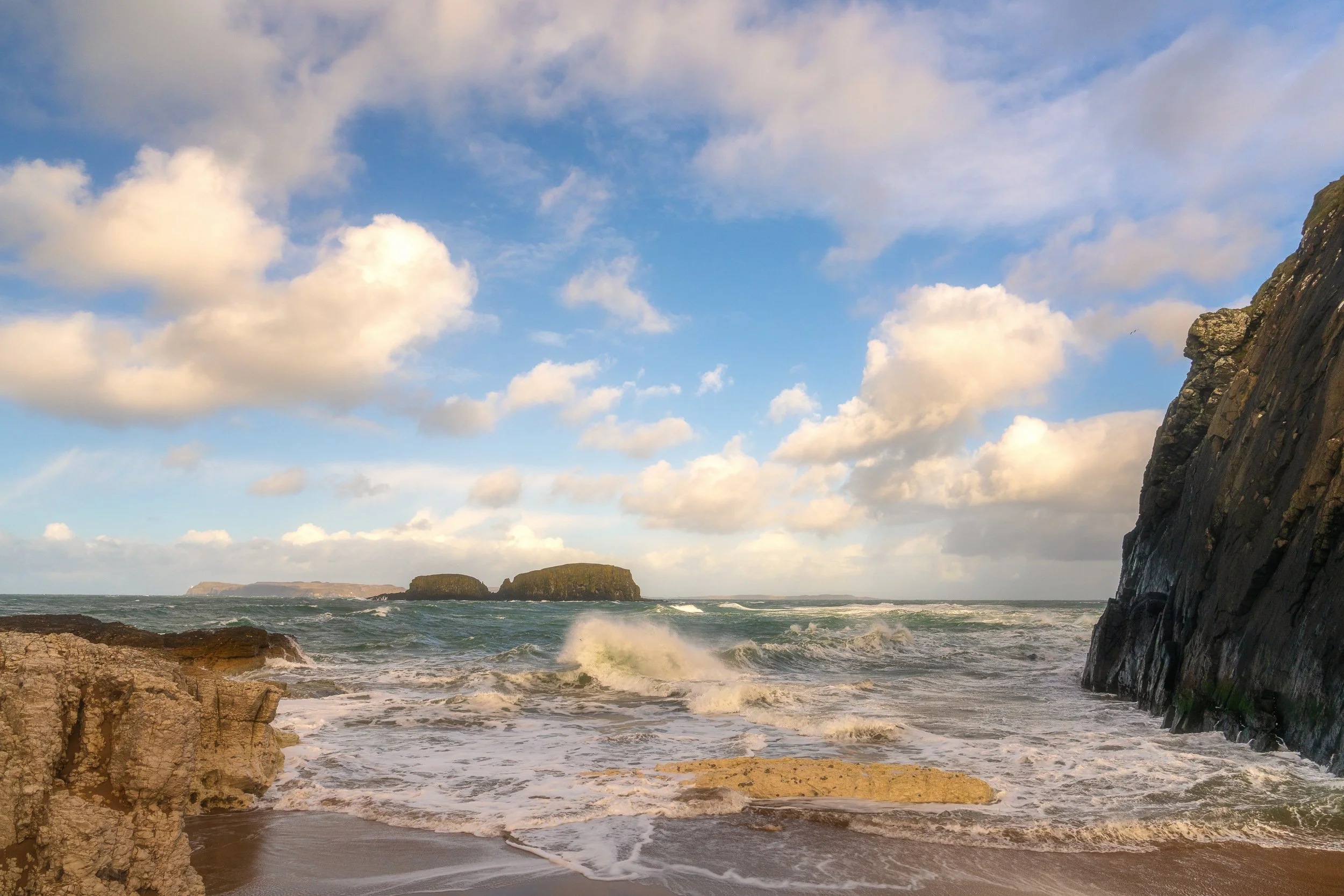 Sheep Island