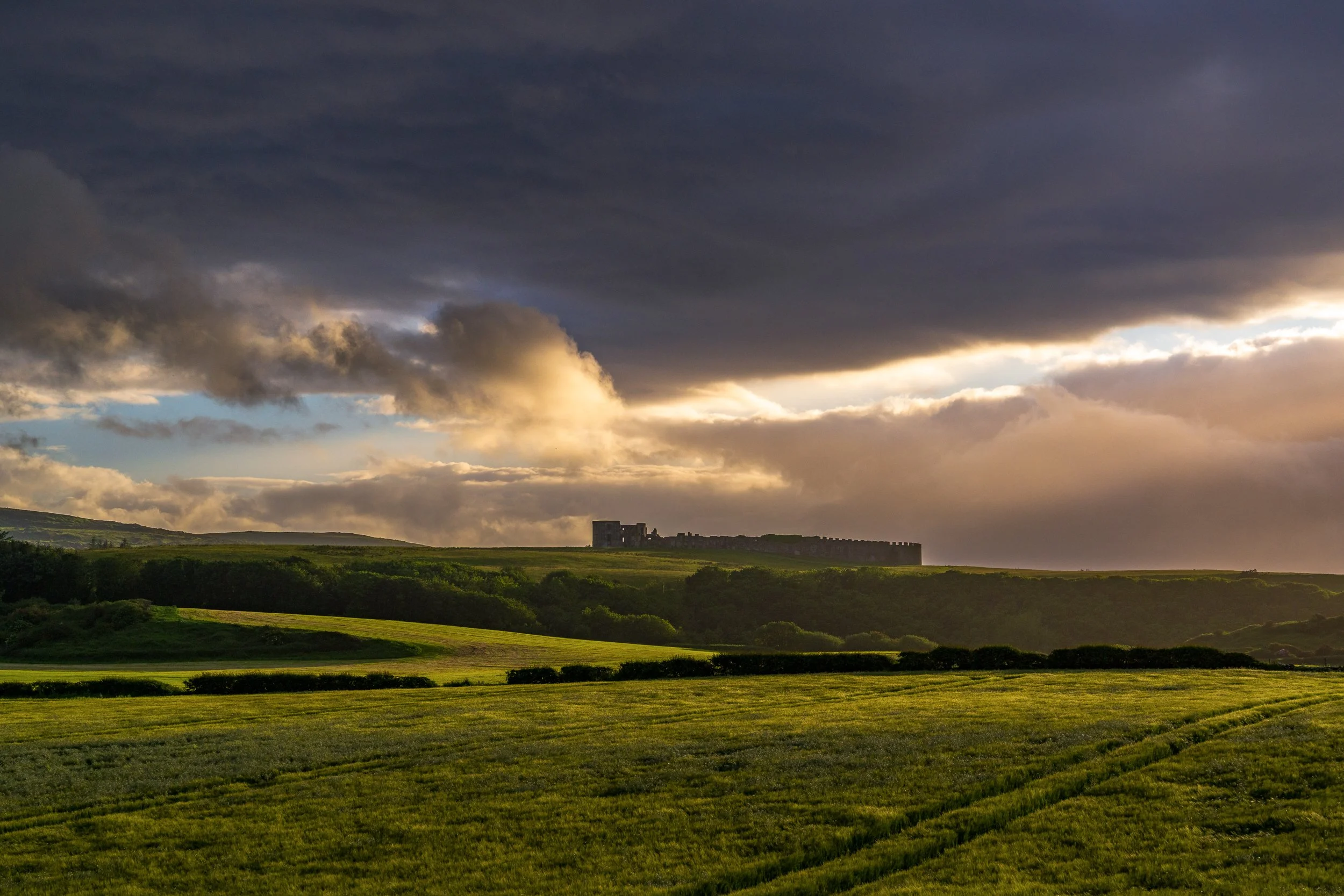 Downhill Demesne