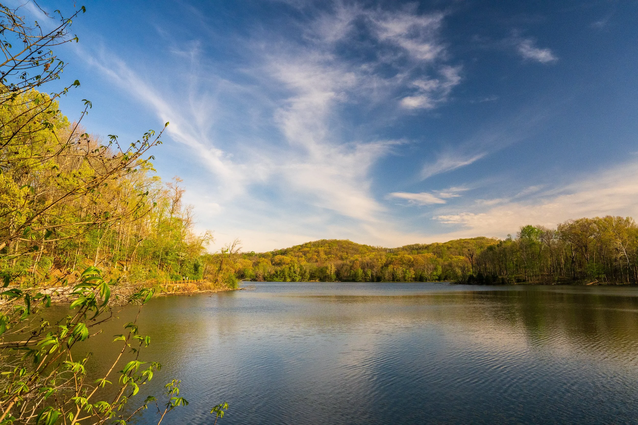 Radnor Lake, Nashville