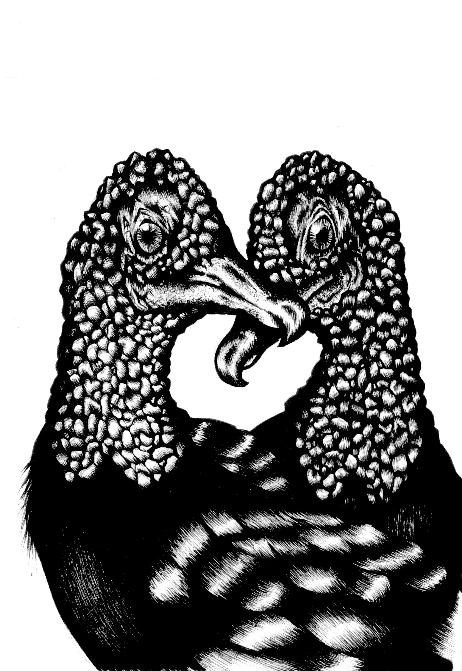  Black Vultures  (2016)  Birds that Stay Together, Forever   Ink &nbsp;  