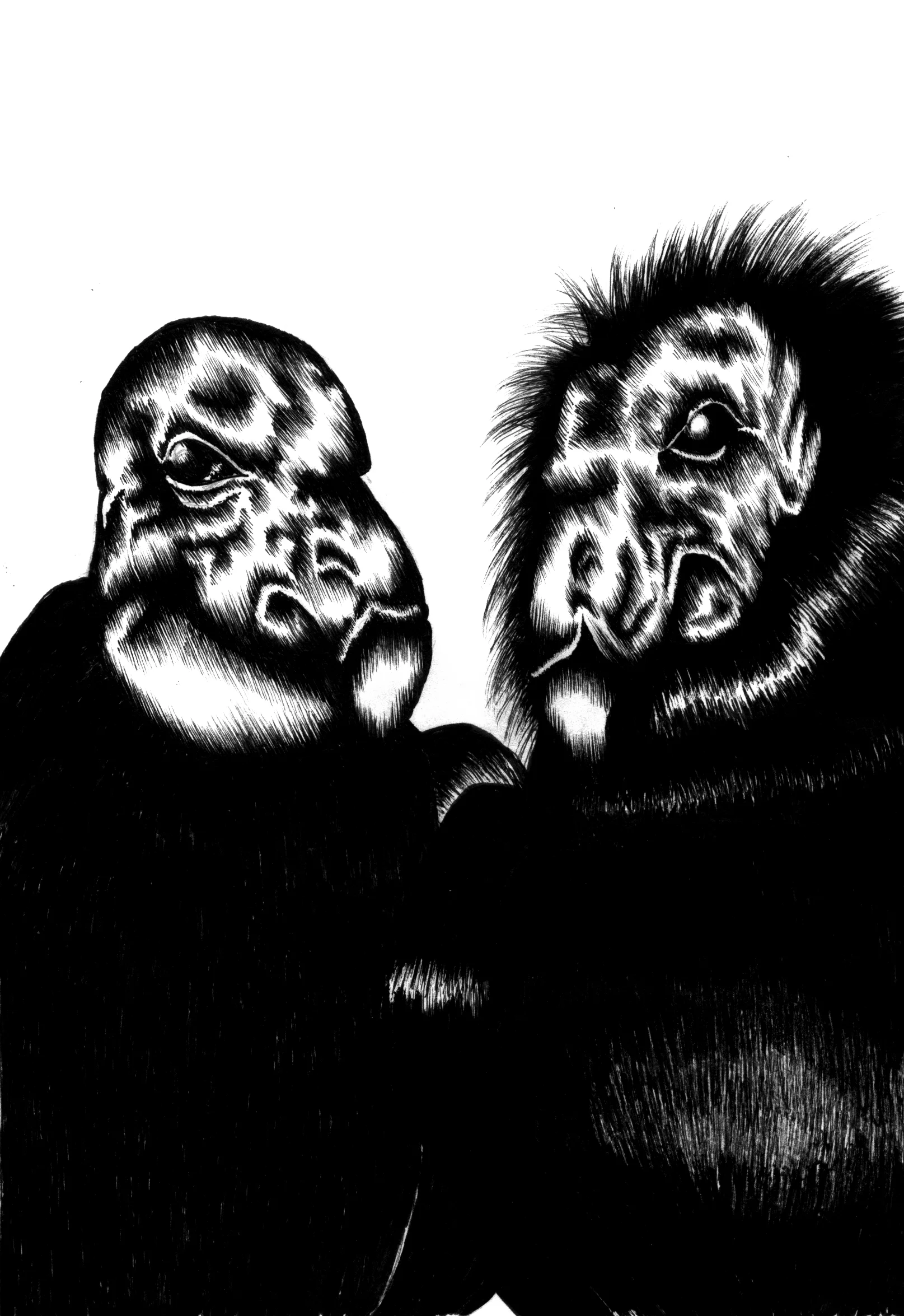 Californian Condors (2016) Birds that Stay Together, Forever Ink 