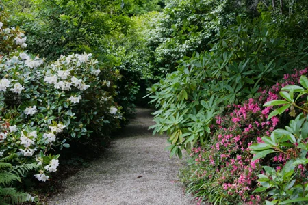 gardenpaths.jpg