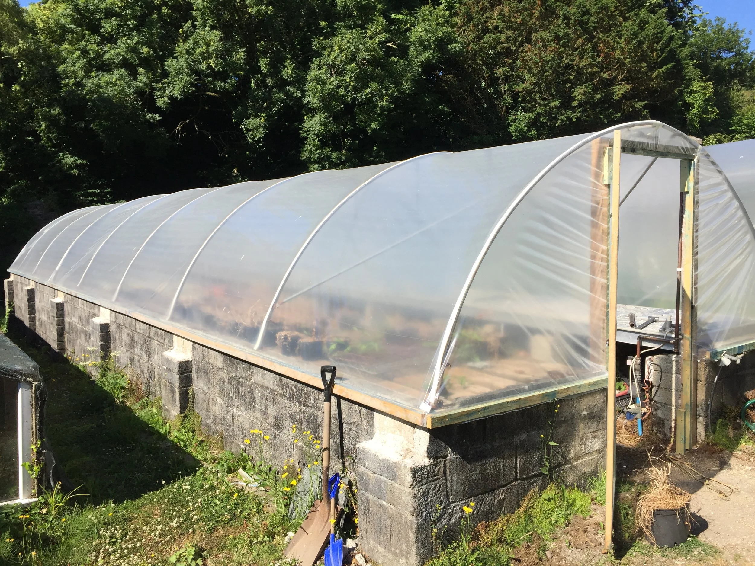 Polytunnel.jpg