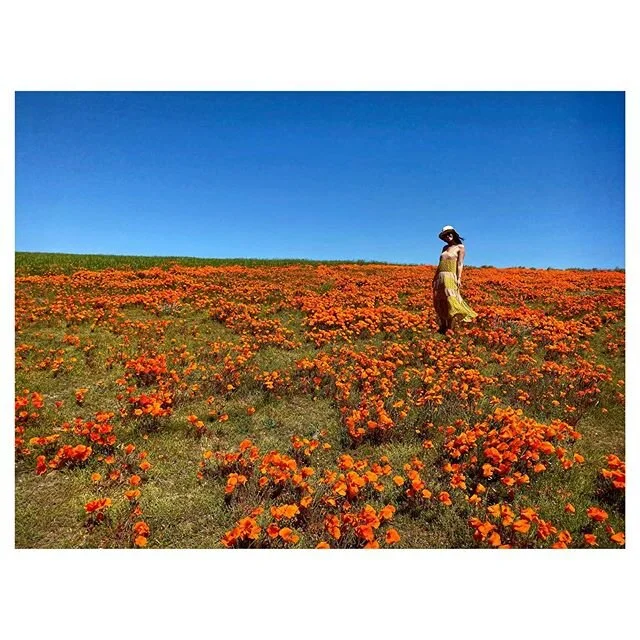 Spending genuine 𝐦𝐞 time has opened up so many windows, so many channels. Whether it&rsquo;s creatively through cooking, writing my morning pages (s/o to @juliacameronlive ); compassionately through feeling empathy yet helpless for our world&rsquo;