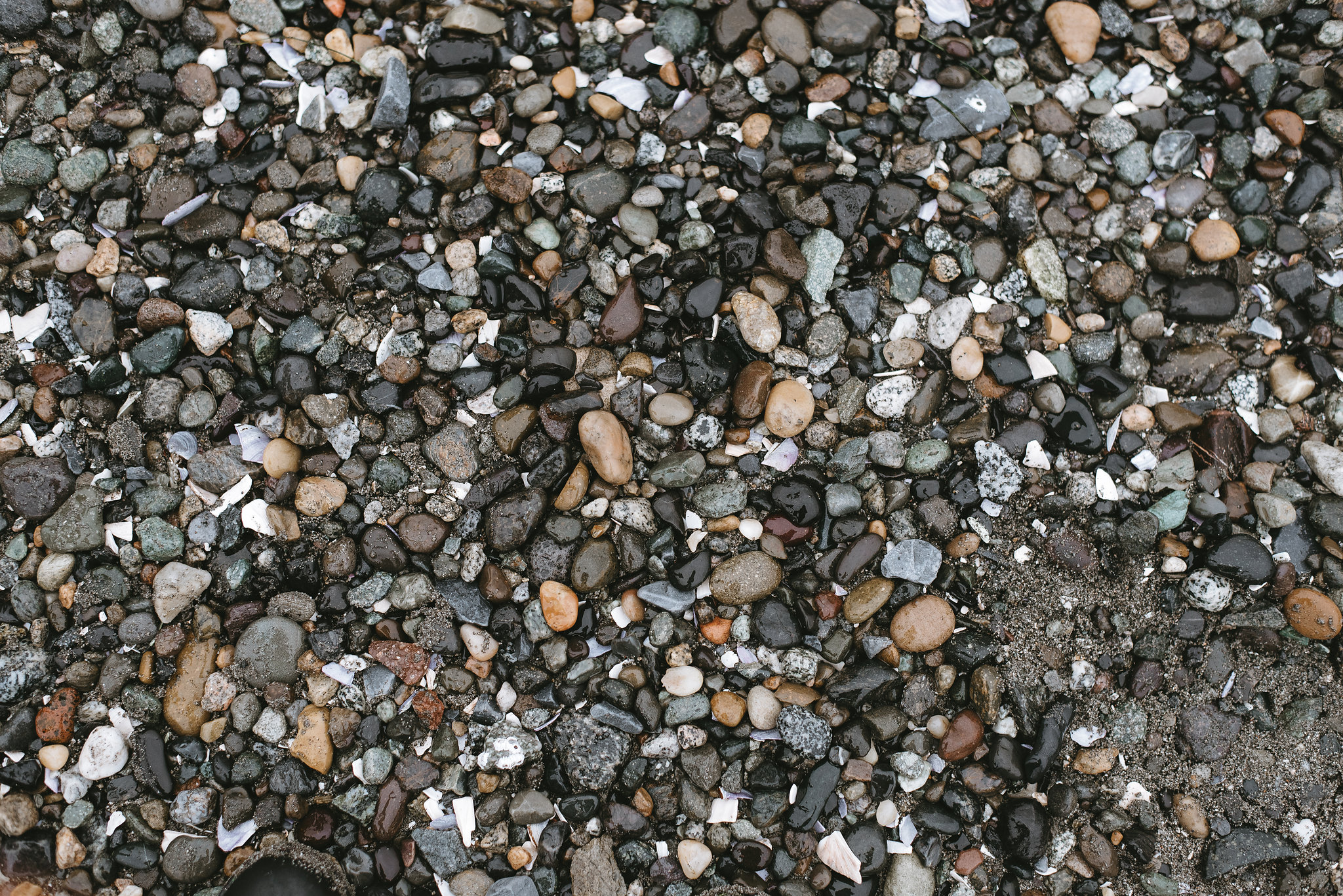 DSC_8430.jpg