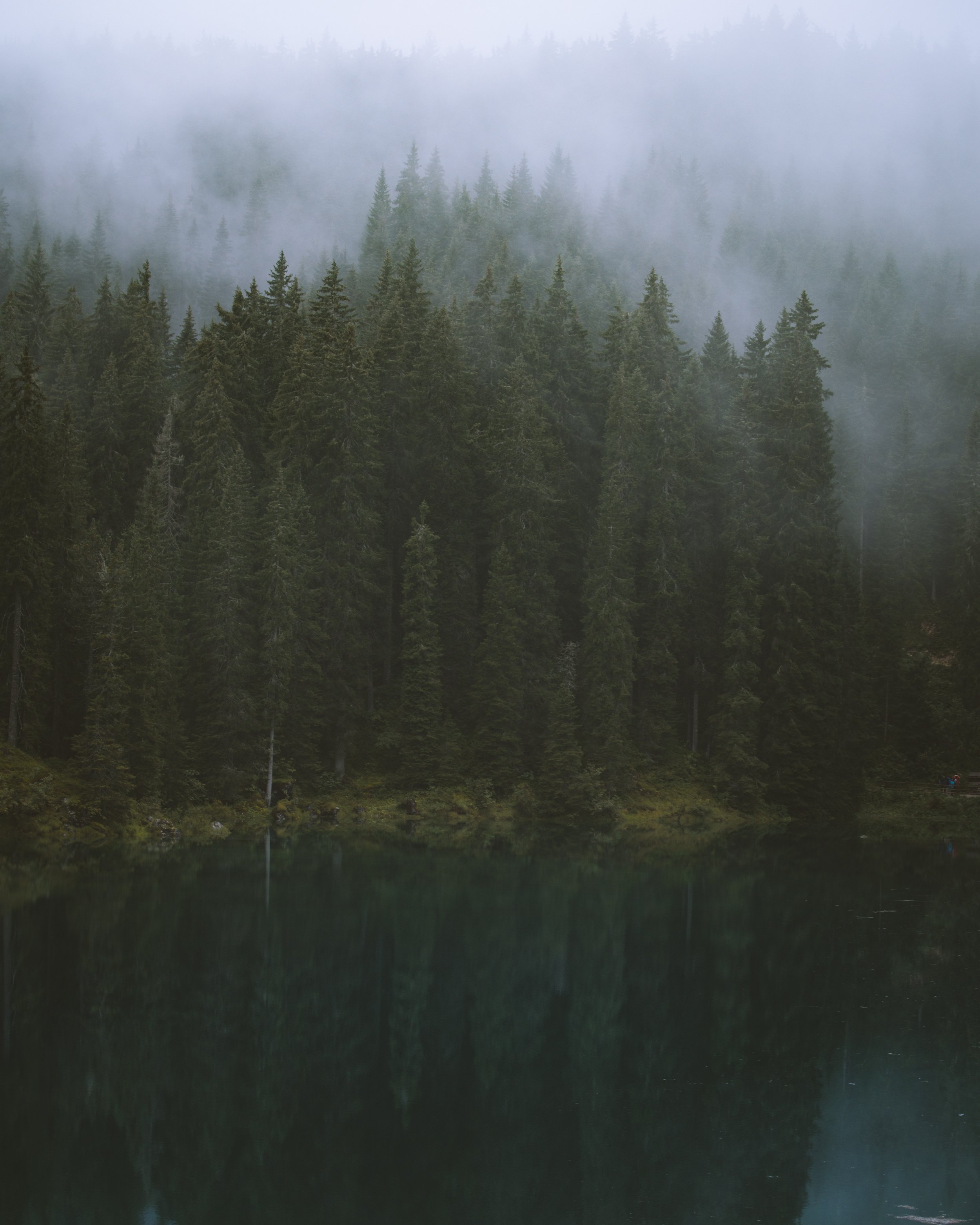 nathan-peterson-1234157-unsplash.jpg