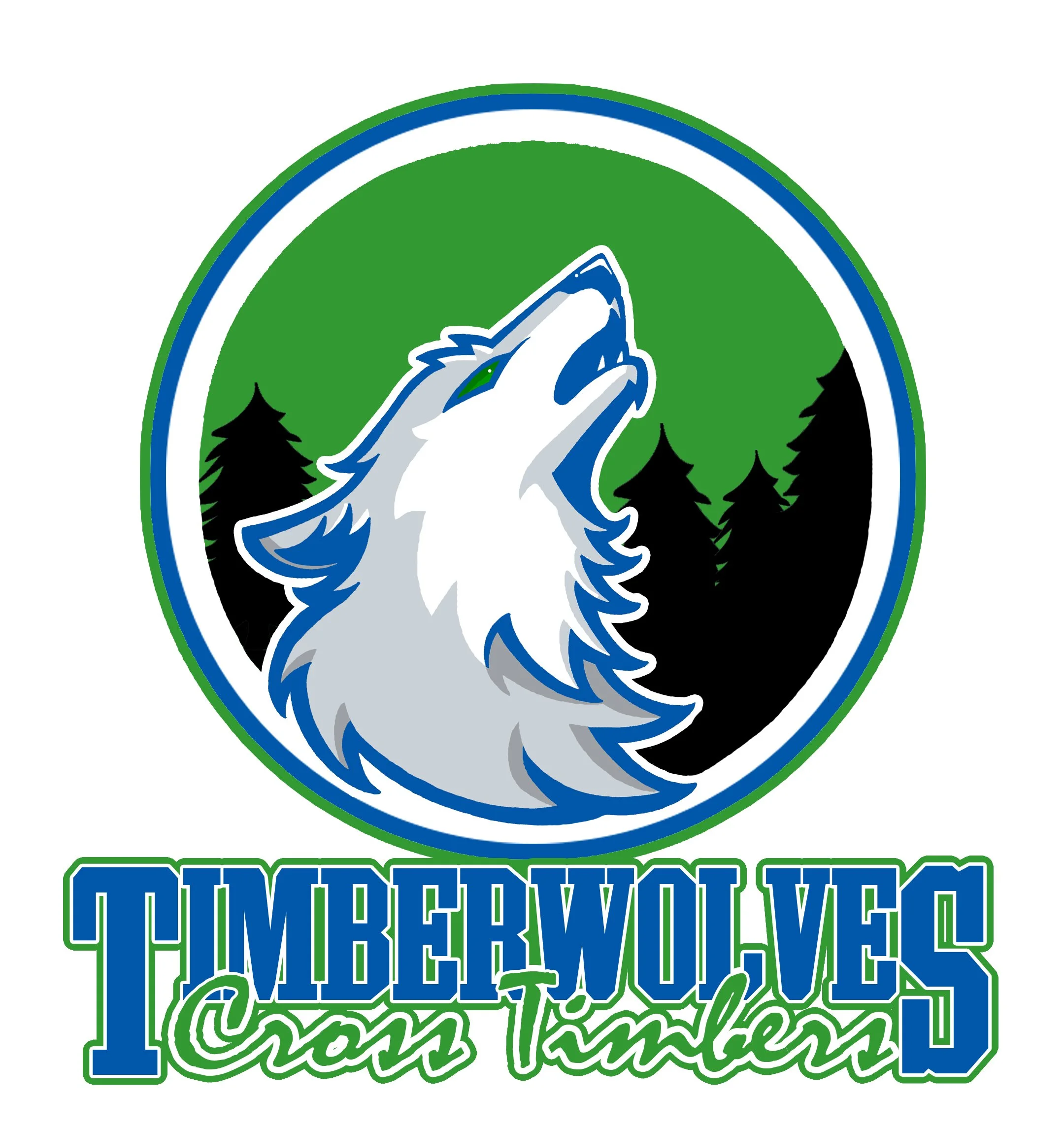 Cross Timbers Intermediate Fine Arts Academy