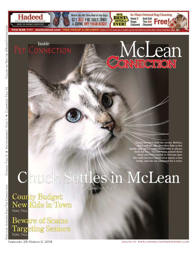 McLean Connection Newspaper 