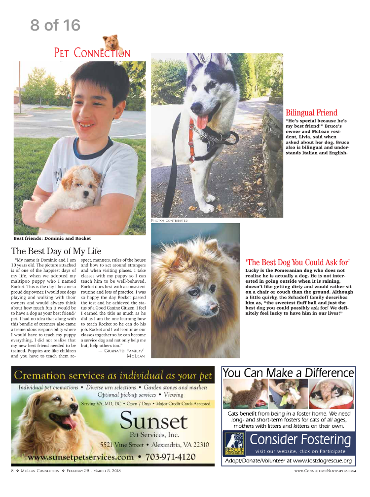 McLean Connection Newspaper
