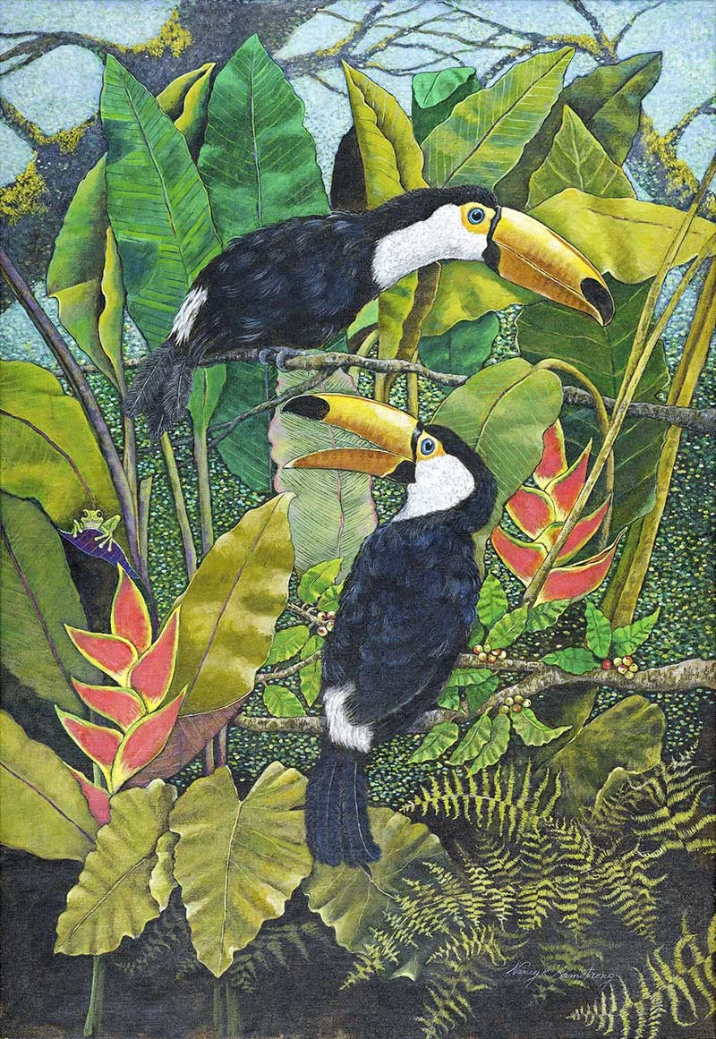 Toco Toucans