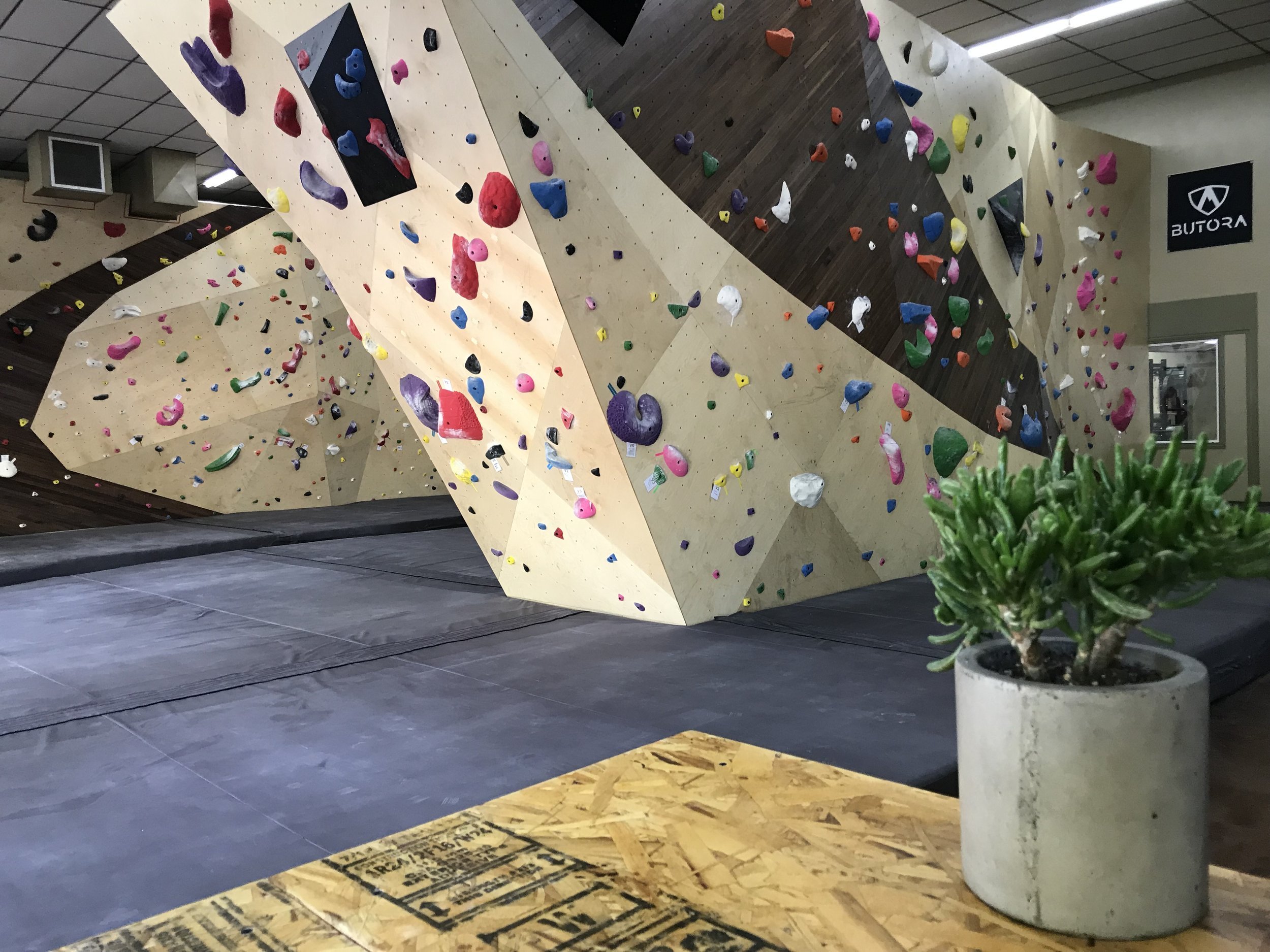 rock climbing wall chico ca.jpg