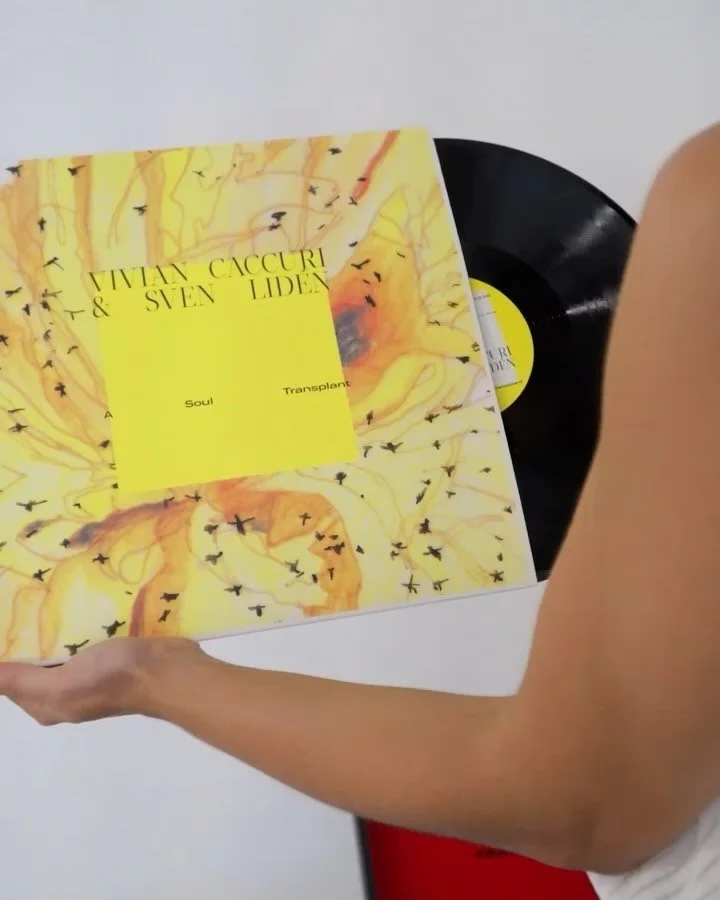 A Soul Transplant
Vivian Caccuri &amp; Sven Liden 
Disco 12&rdquo;
32 x 32 cm
Lado A - Del&iacute;rio (07:16)
Lado B - Aegypti (13:34)

O vinil apresenta m&uacute;sicas compostas durante a resid&ecirc;ncia no Studio Acusticum em Pite&aring;, onde a a