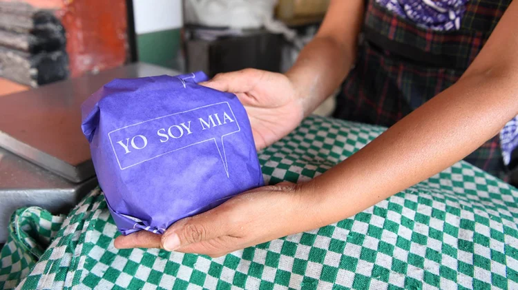Marilá Dardot — Tort(guerr)illa