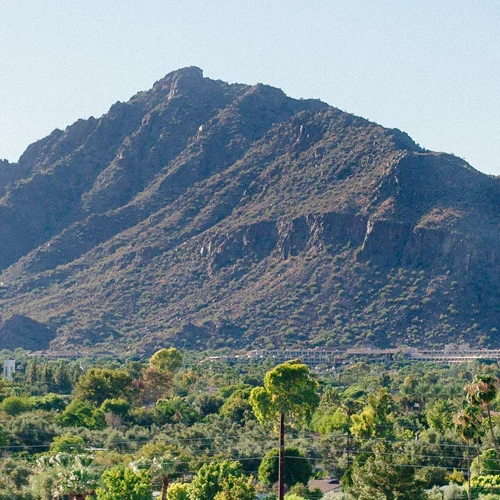 Camelback