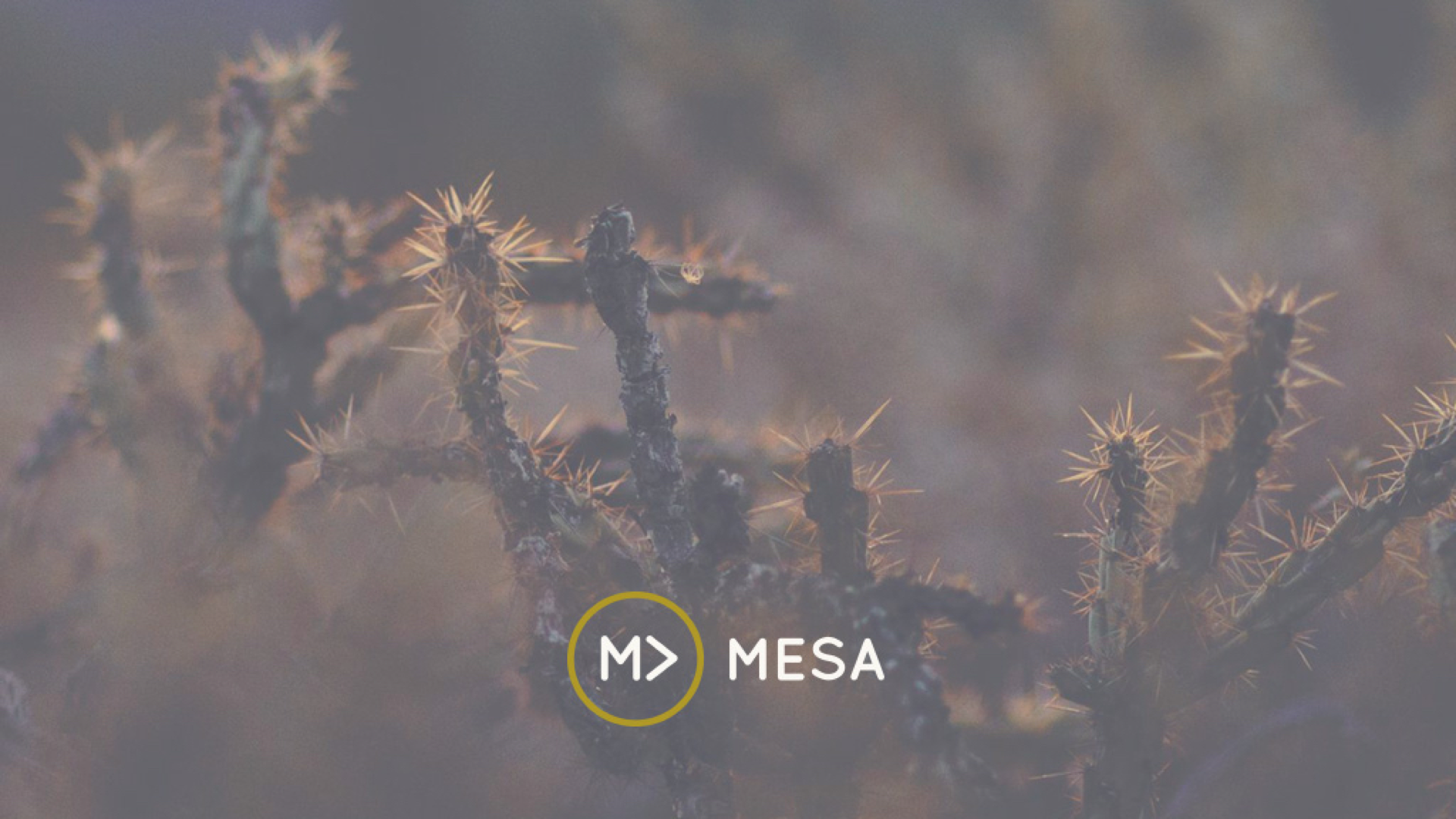 Mesa
