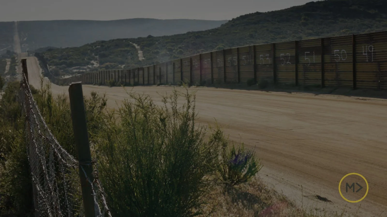 IMMIGRANTS AND THE TRUE STORY
