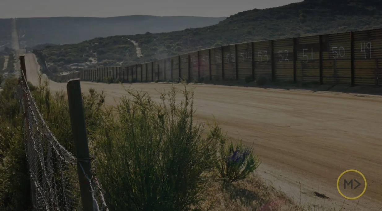 Immigrants And The True Story