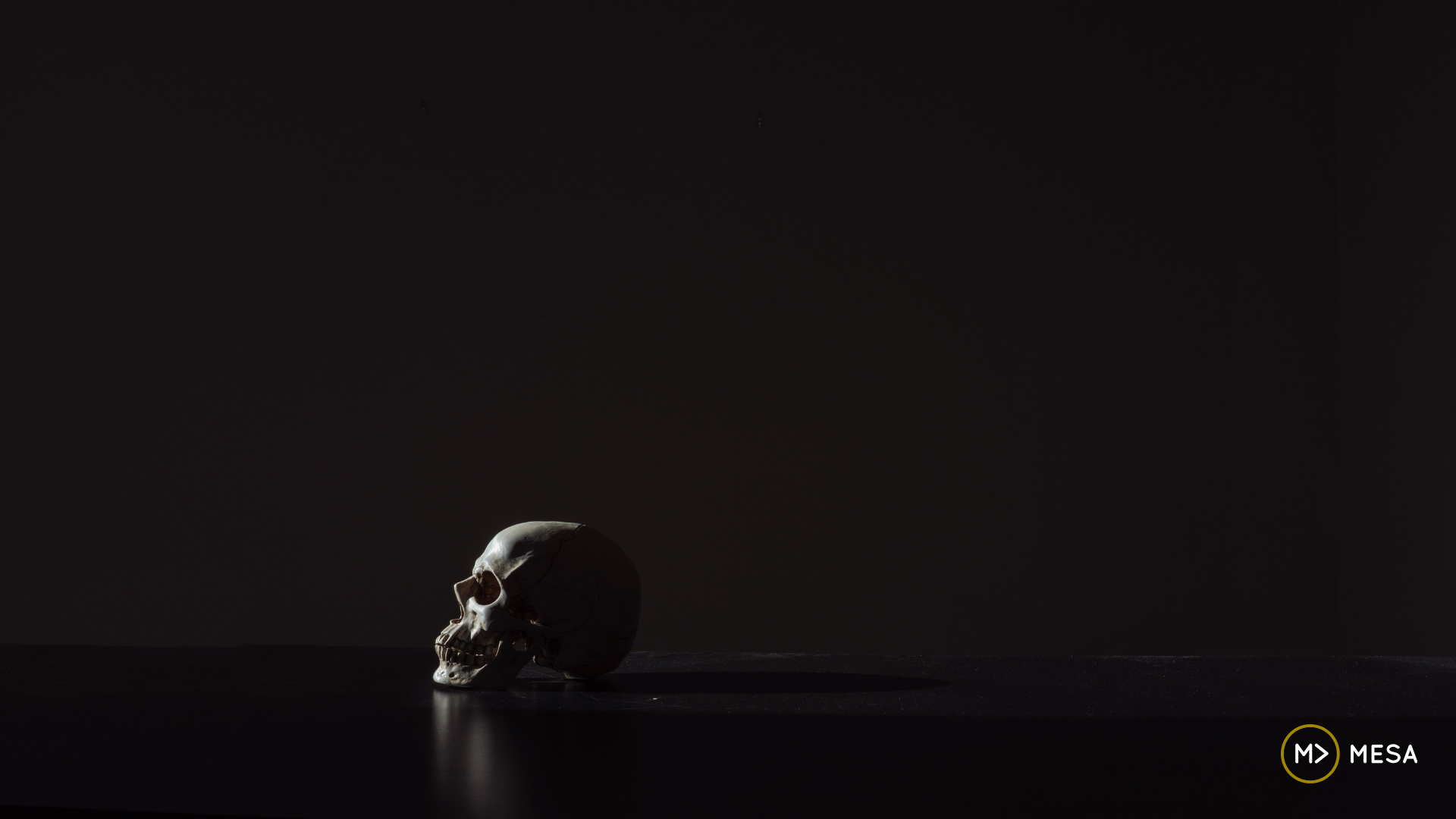 Released (A Sermon From Luke 8)