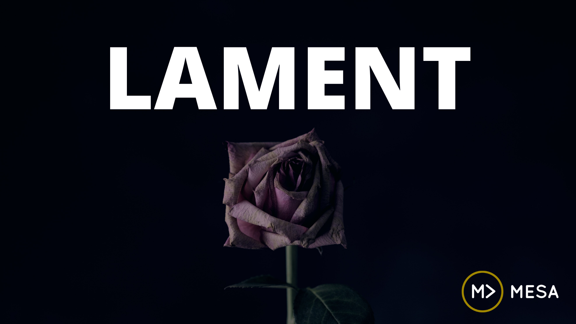 A Seat at the table of Lament