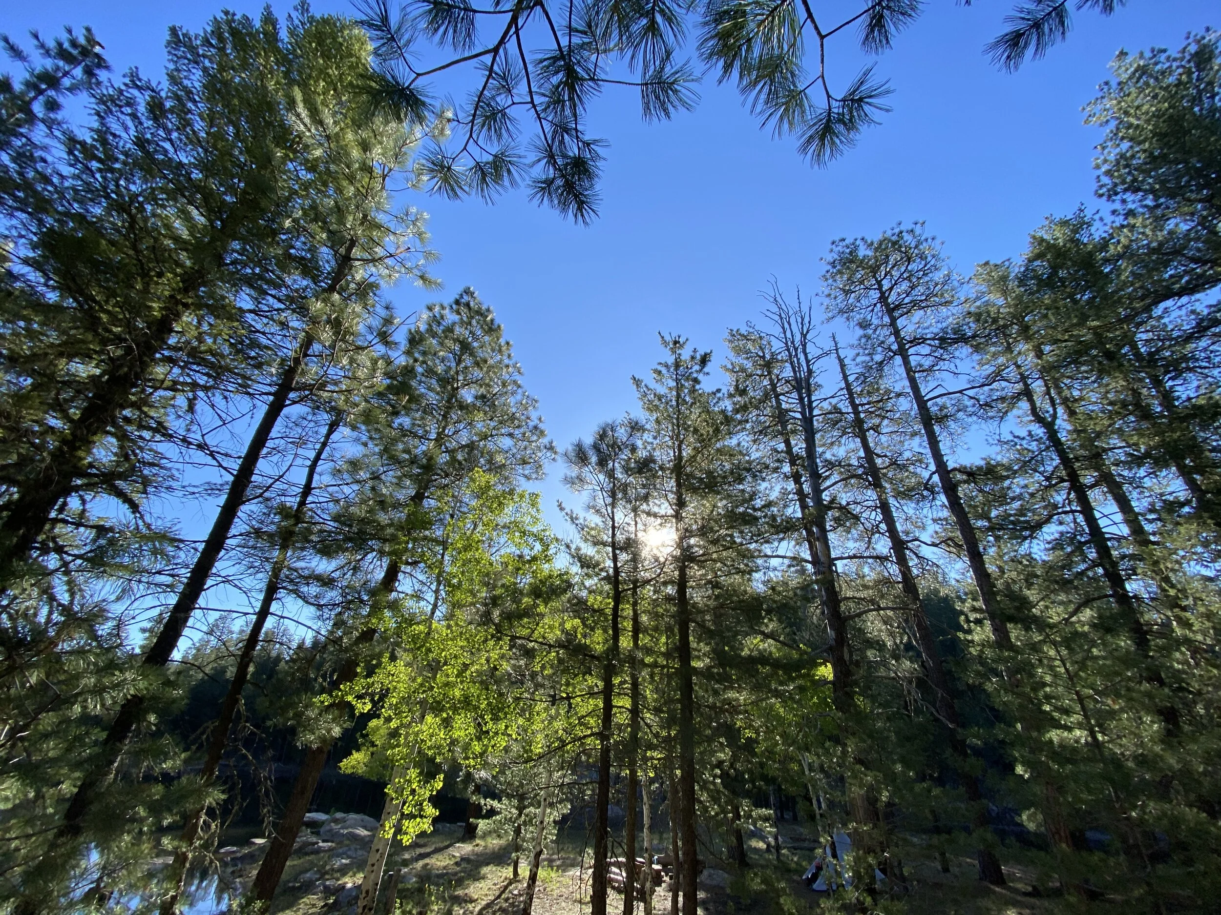 Our Unplugged Sabbath- Nate Rogers