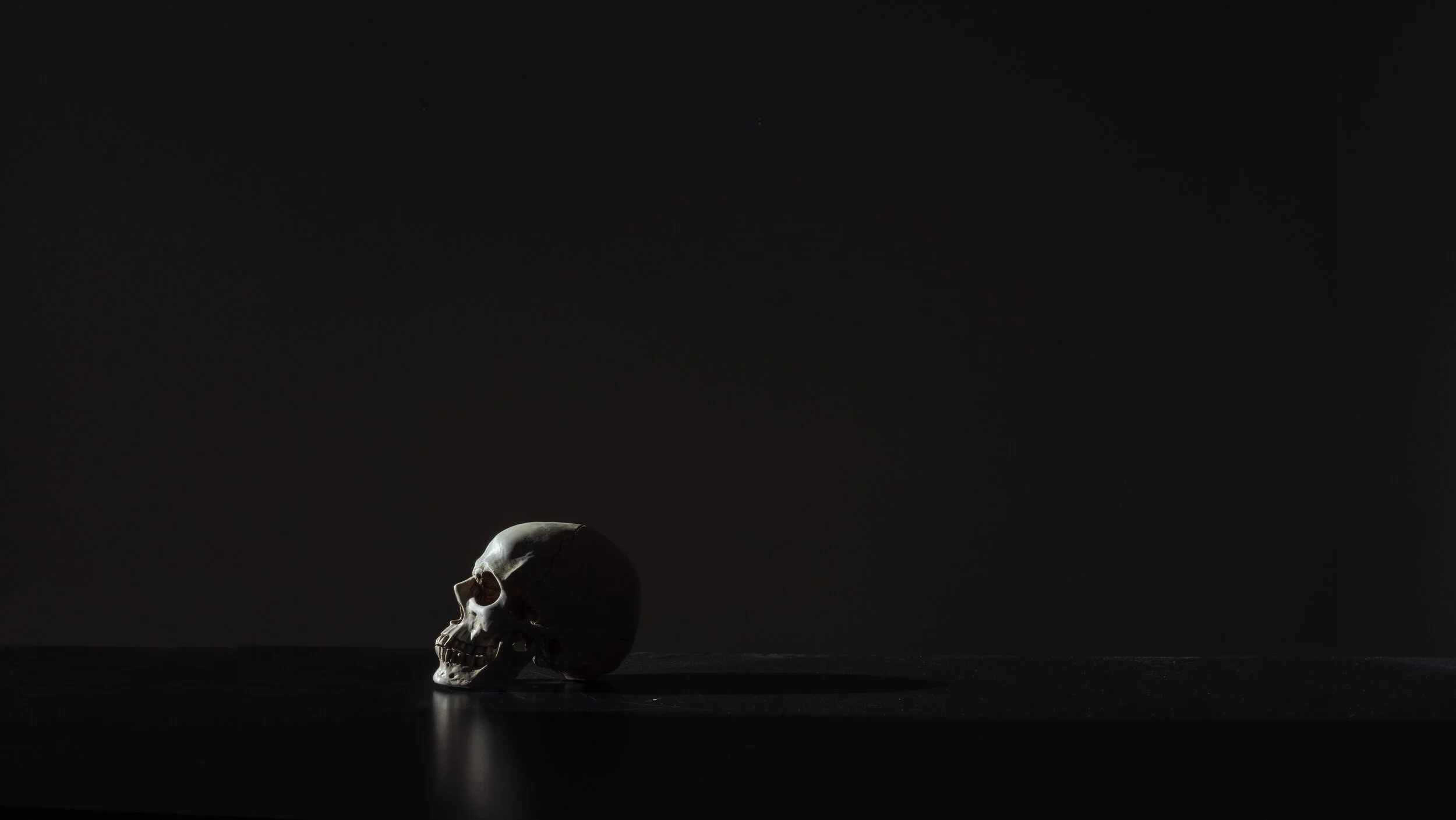 Rebellion in the Kingdom