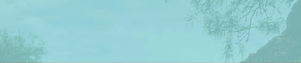 header 1.jpg