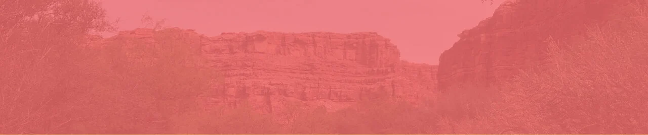 header 2.jpg