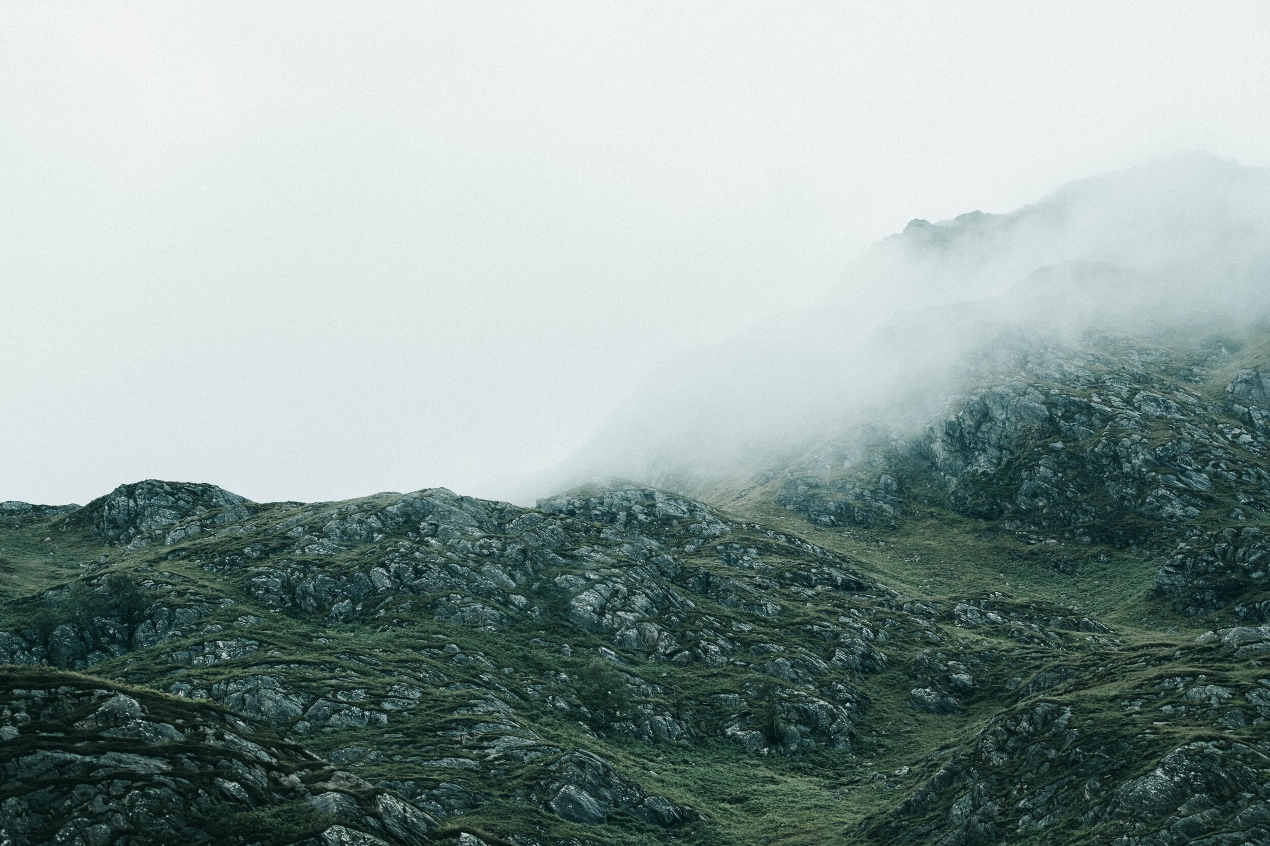 True Story: A Tale of Two Kingdoms (Matthew 13)