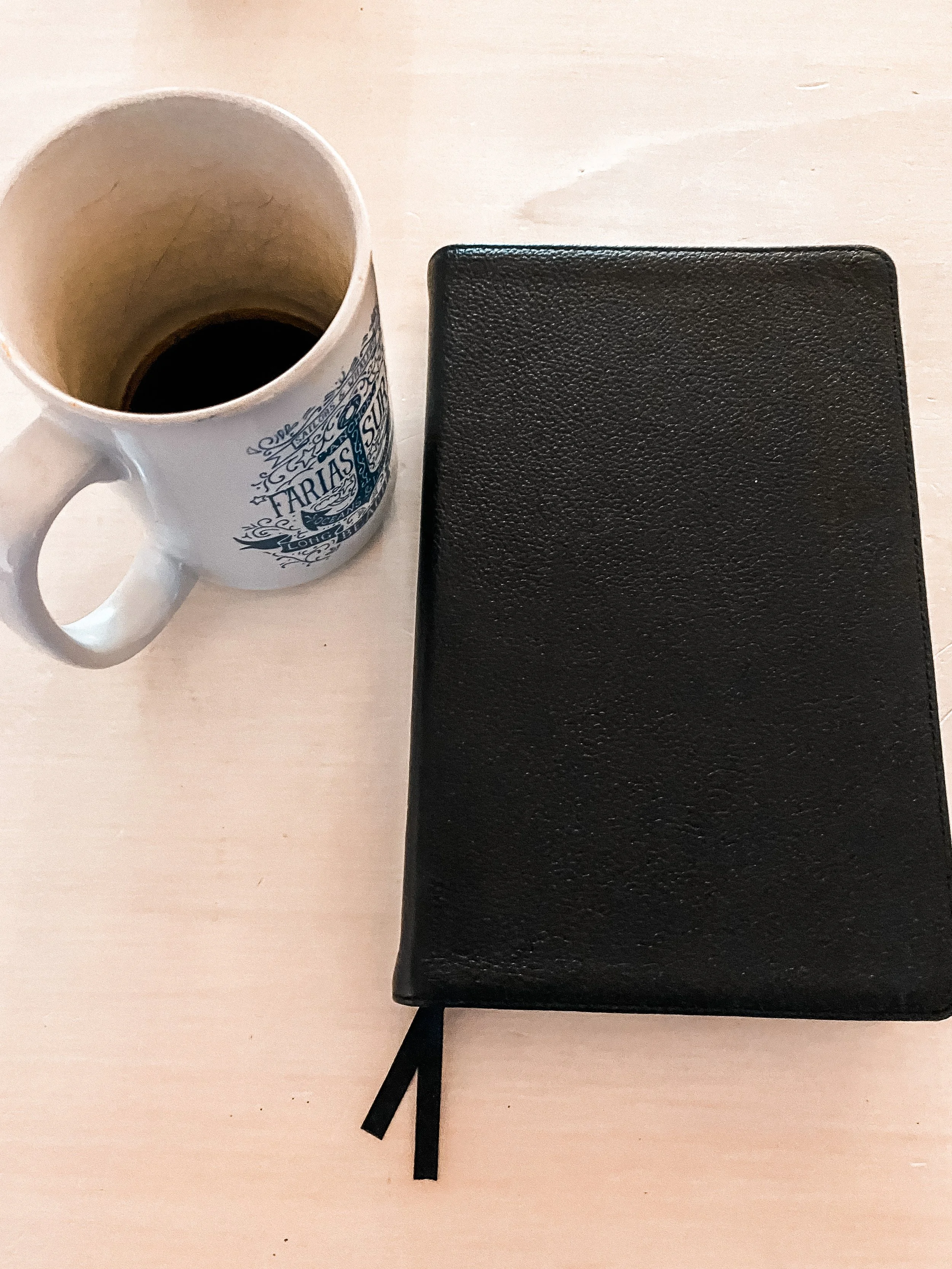 Training: How To Read Your Bible