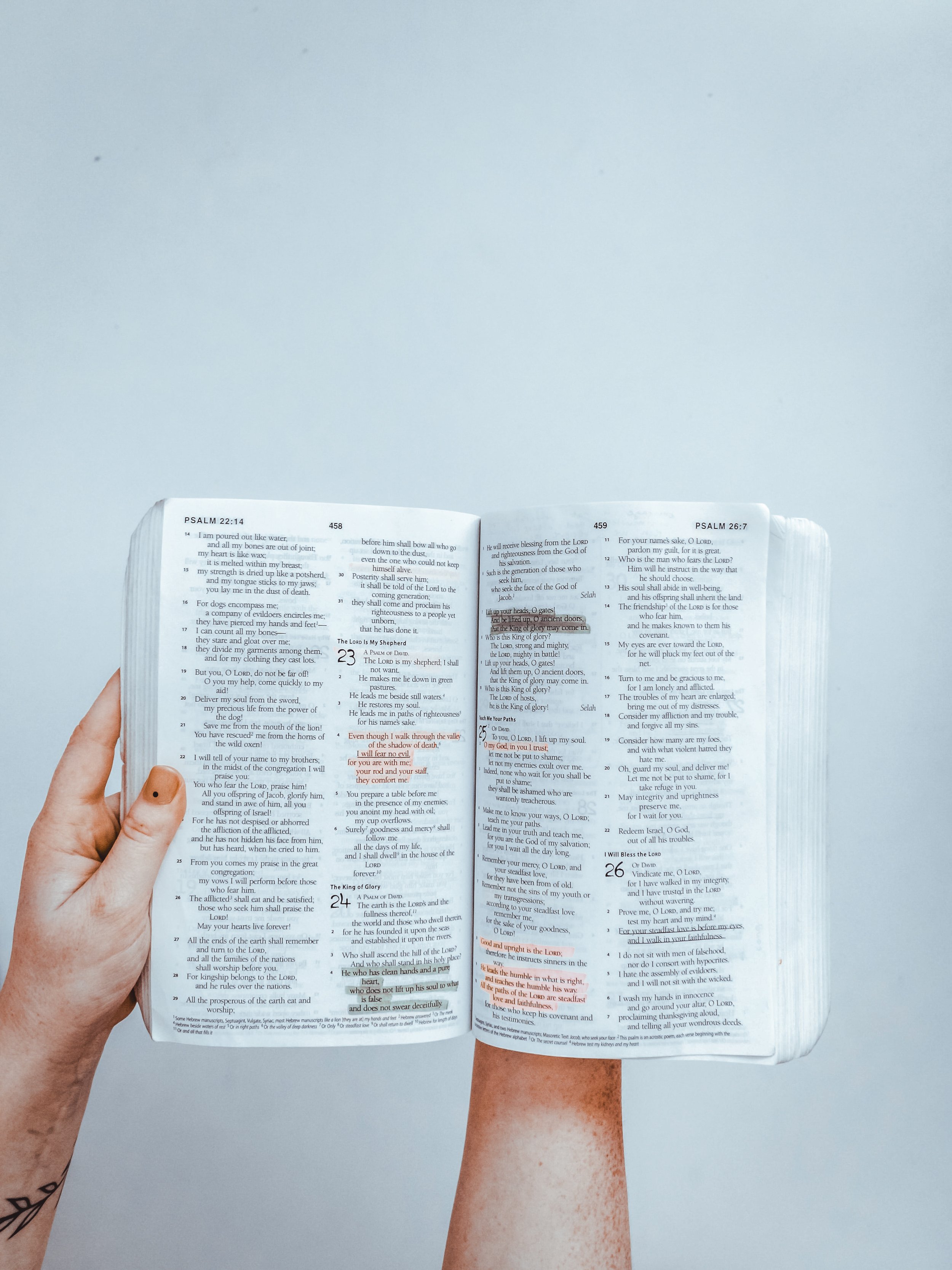 January Reading Plan 