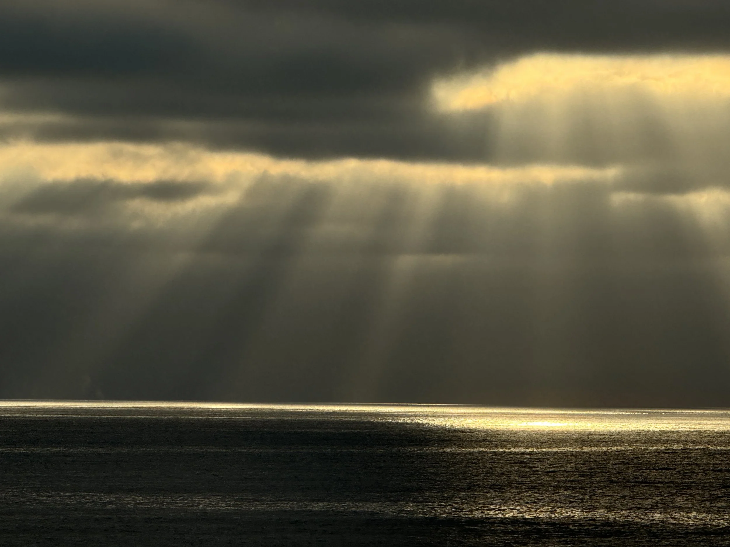 June Reading Plan- Praying With Jesus