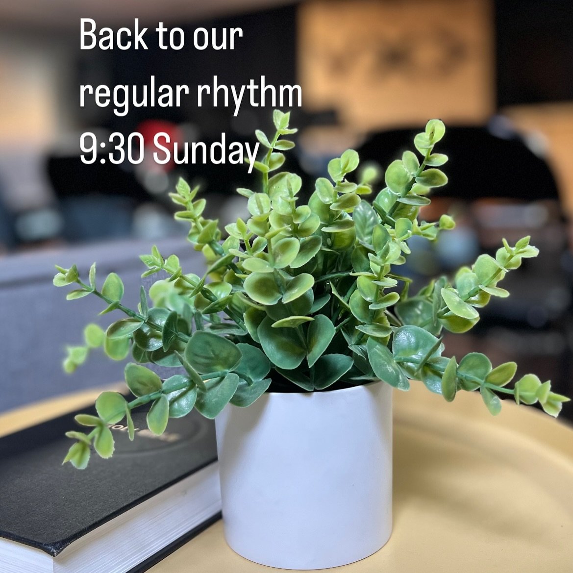 See you on Sunday! 9:30am in our regular location.
Prayer. Singing. Scripture. Community.
__
#missiophx #missiodei #phxchurch #truestory #wegather