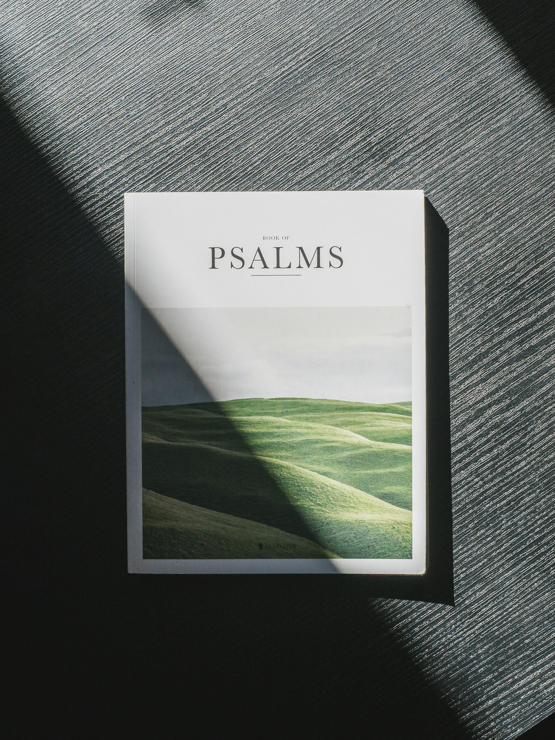 July Reading Plan: Psalm 2